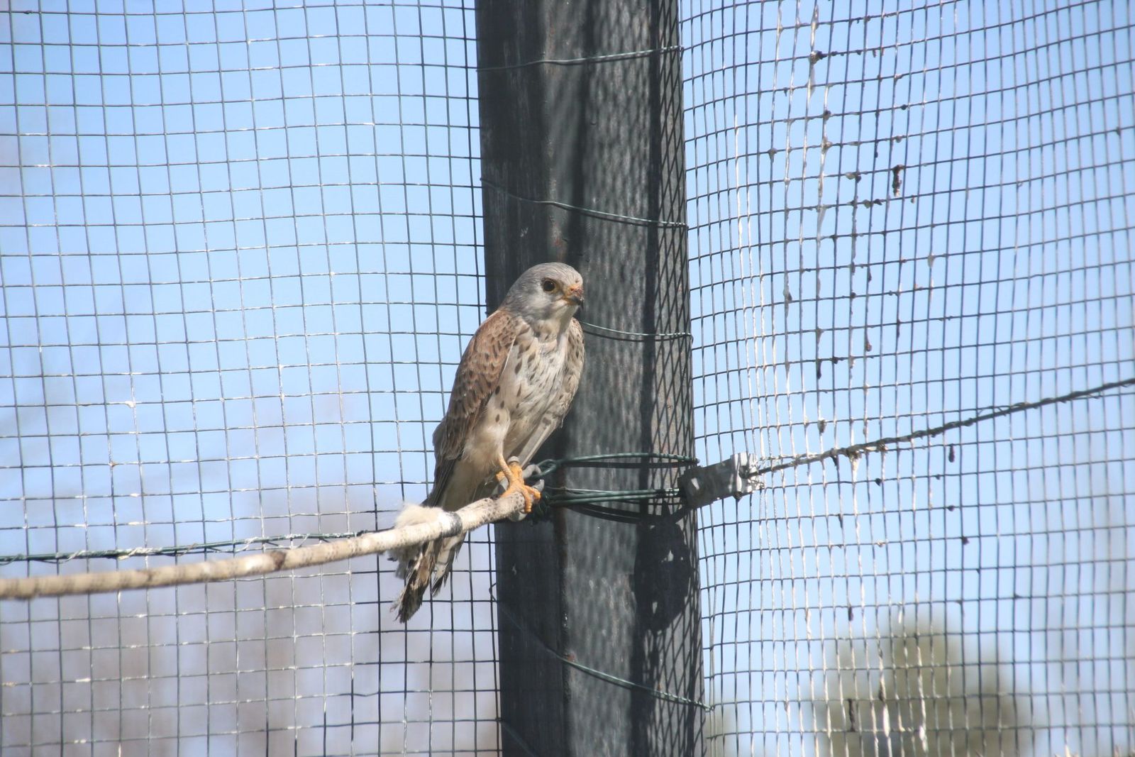 20230304150554-img-1625