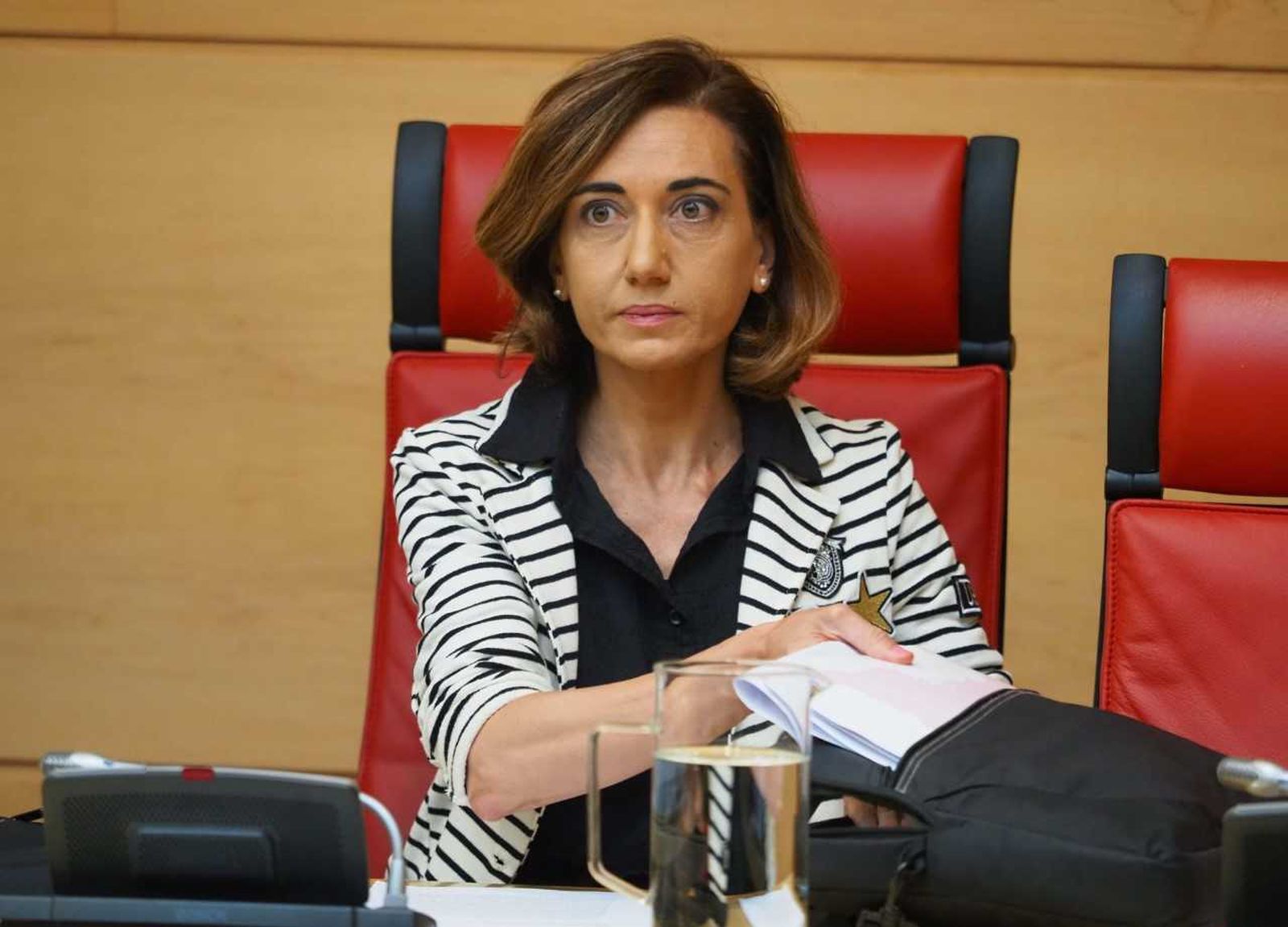 Alicia Gallego procuradora de Unión del Pueblo Leonés, Alicia Gallego procuradora de Unión del Pueblo Leonés,