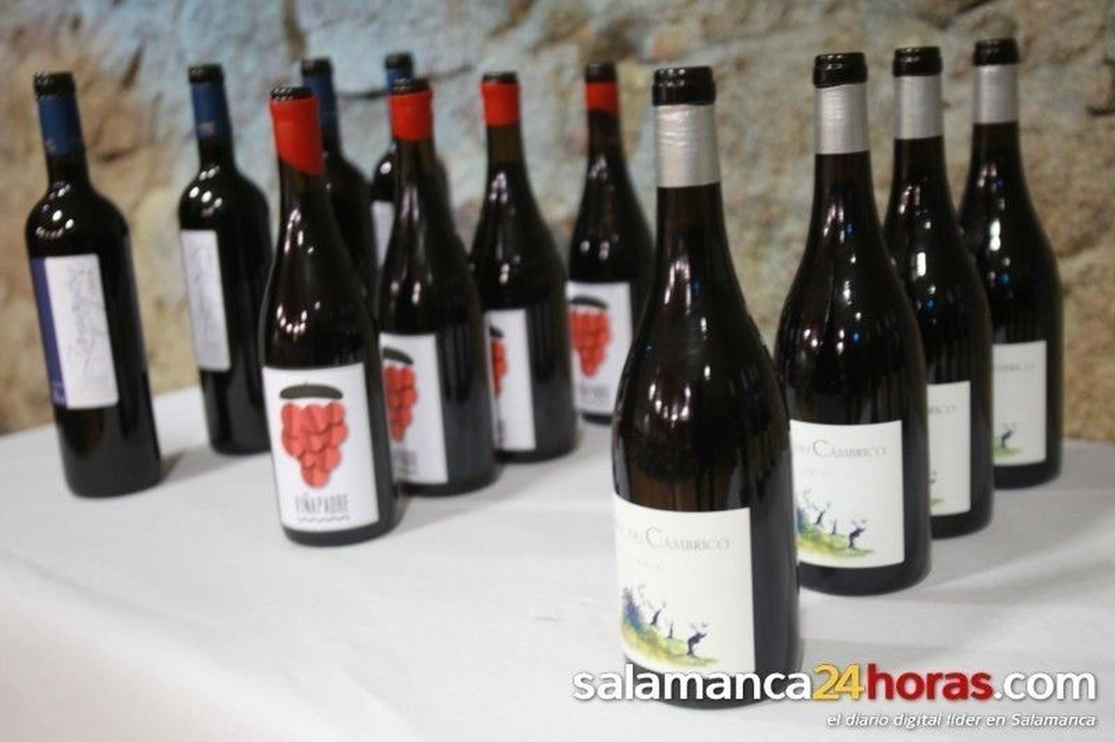 Fiesta de la vendimia