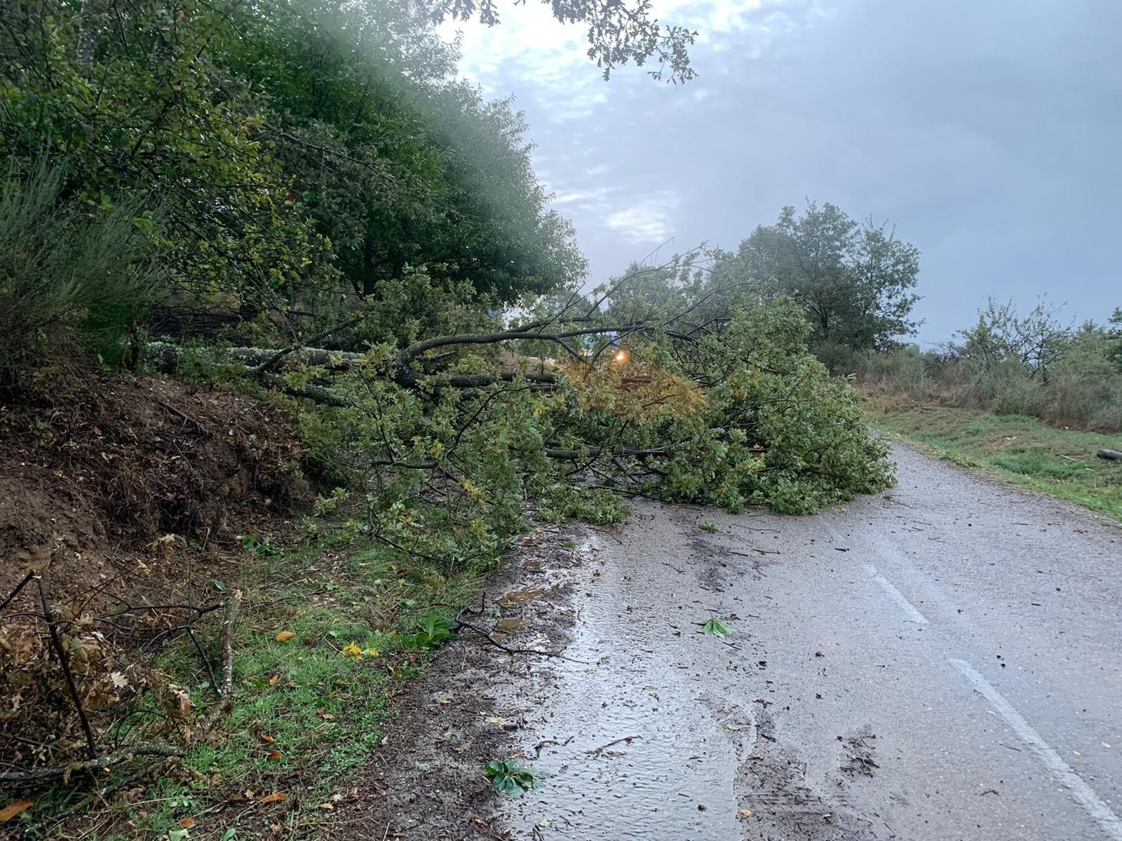 120610545 3751527468225582 2476379580192276299 o