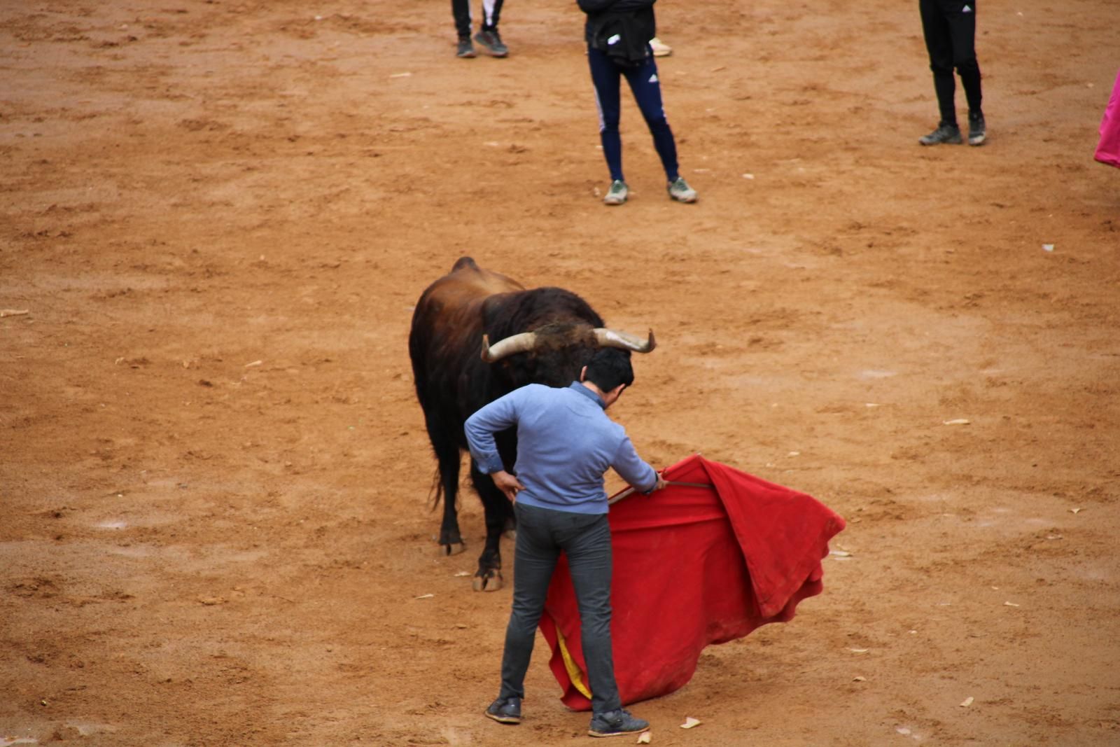 capea-matutina-del-martes-de-carnaval-6