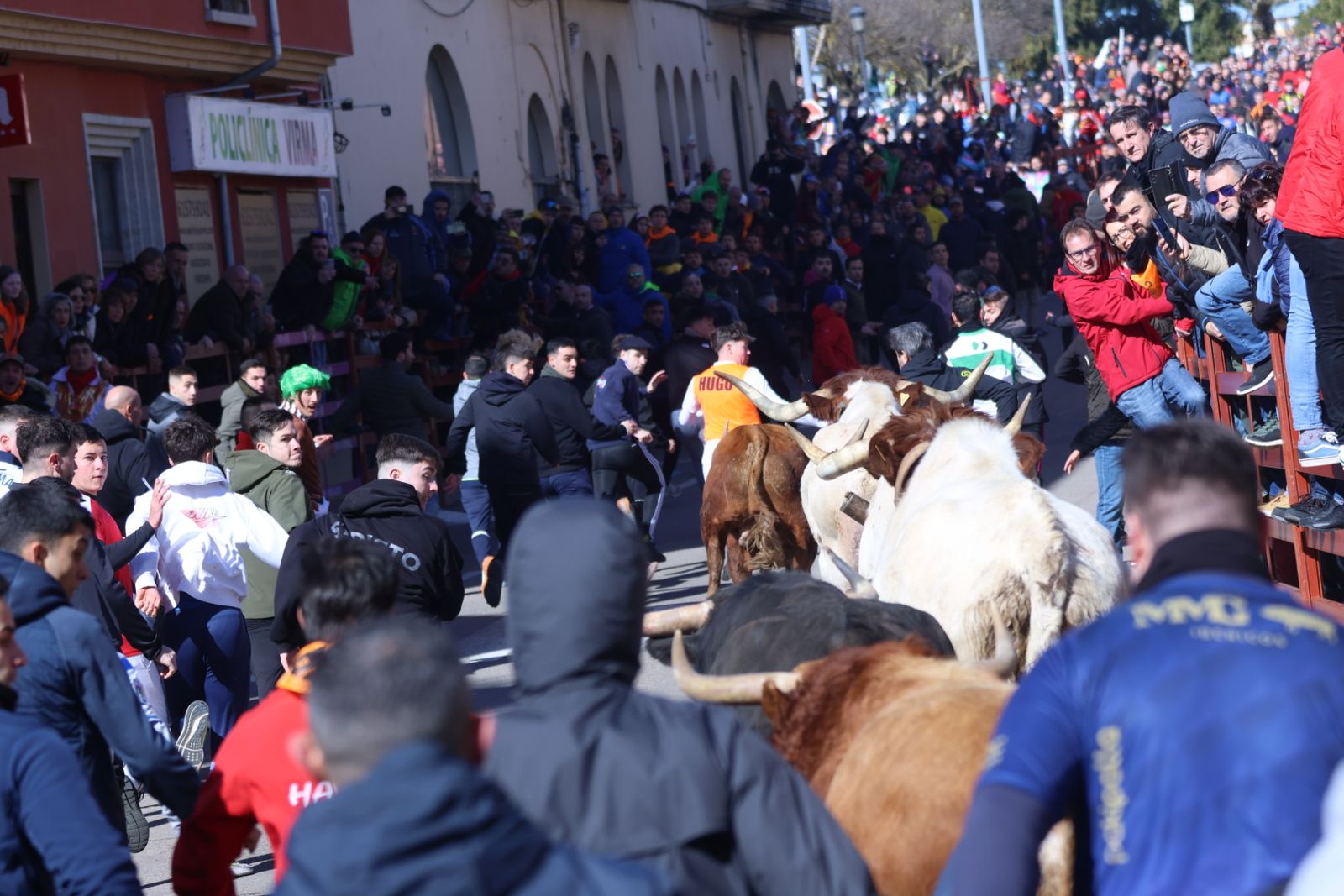 Encierro de sábado en el Carnaval del toro 2026 de Ciudad Rodrigo