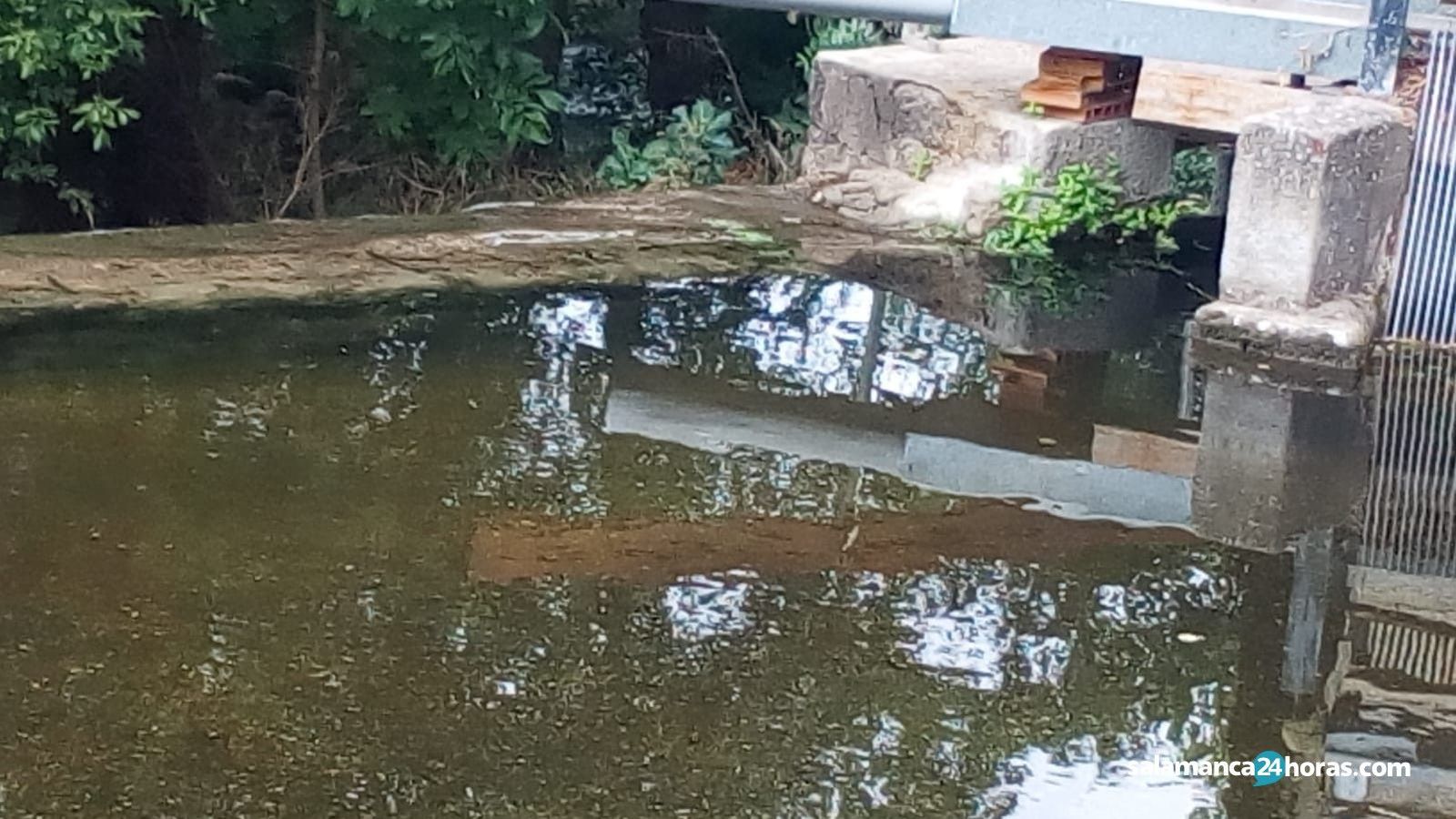 Cuertpo de hombre, bejar (4)