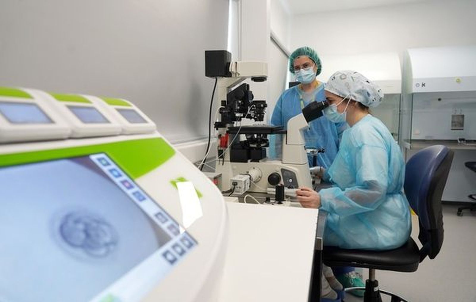 Reproducción asistida. Ical