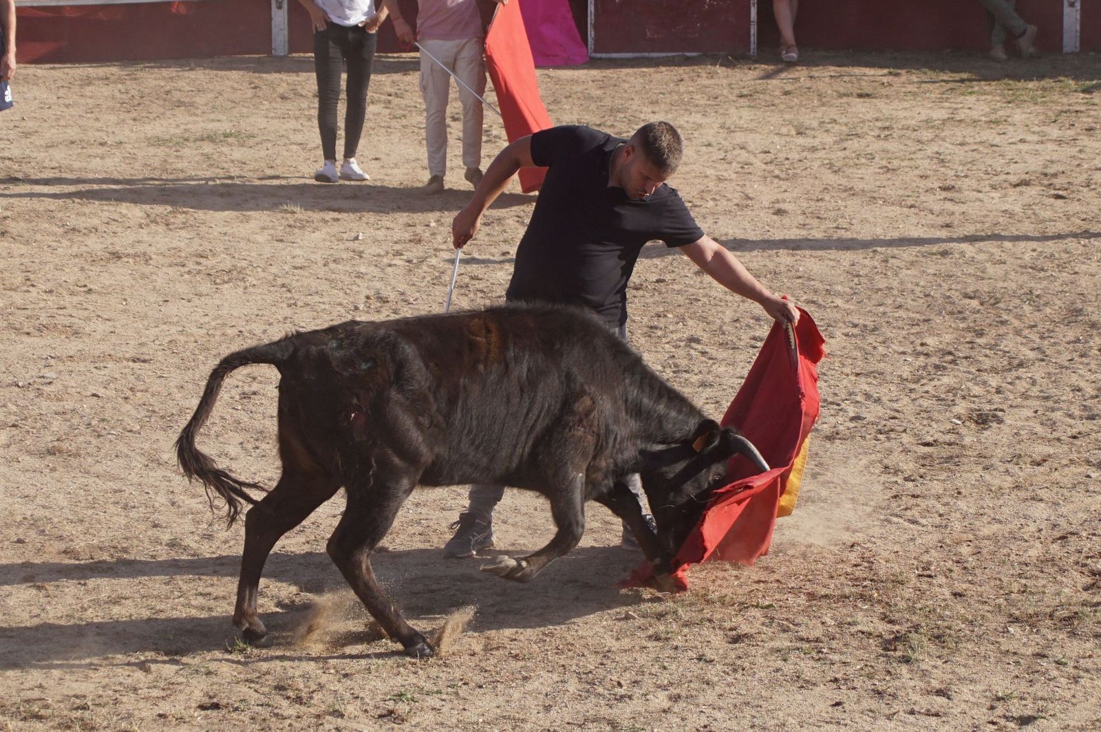 capea-fiestas-de-carrascal-de-barregas-28