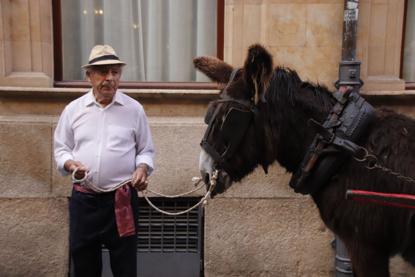 20220604180205-mg-2017