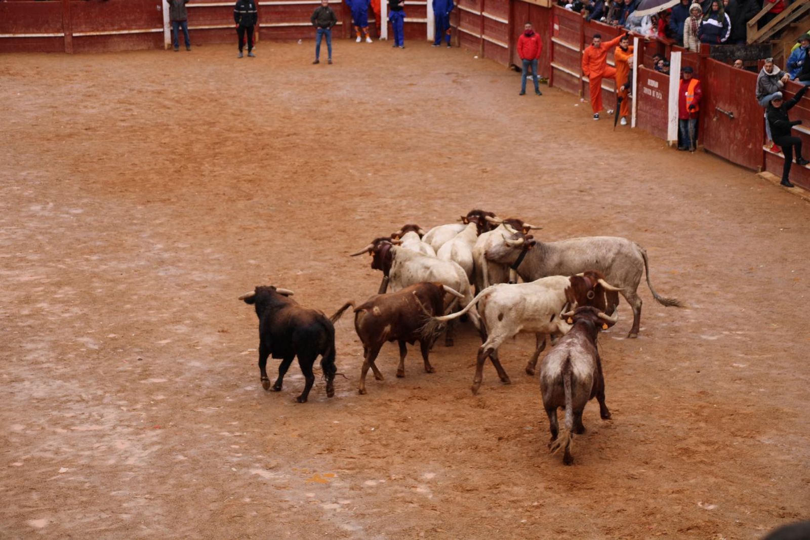 whatsapp-image-2024-02-11-at-13-23-45