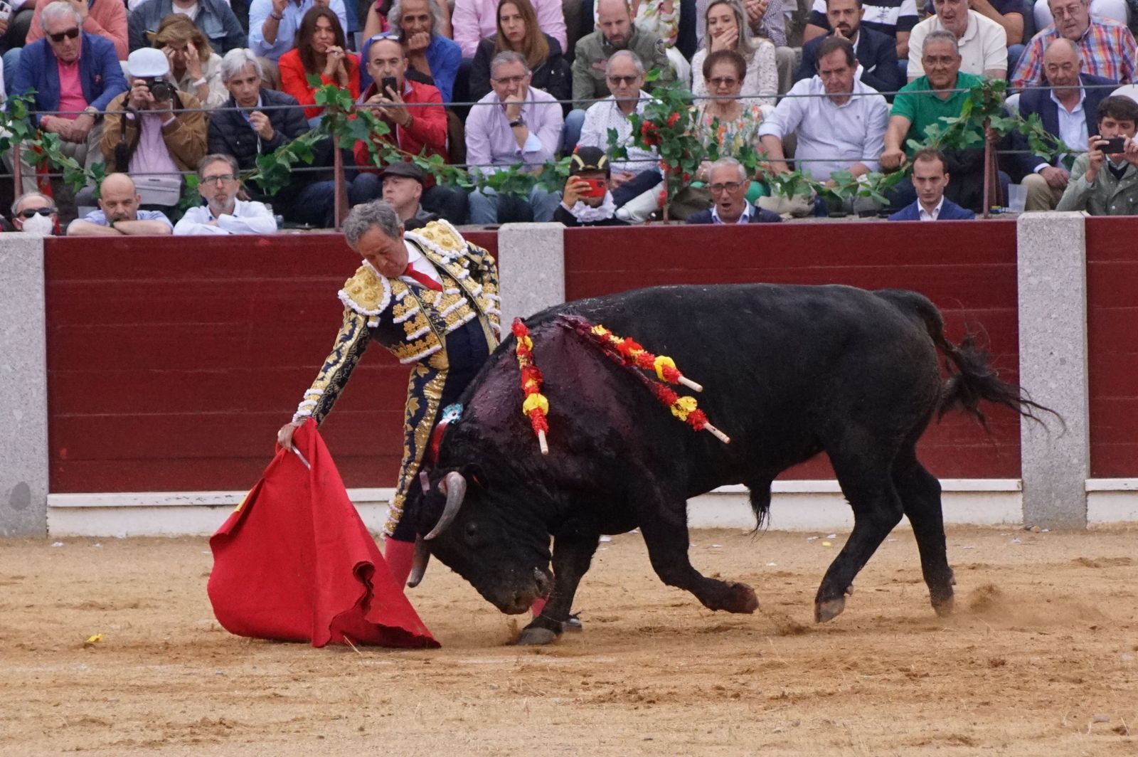 'El Niño de la Capea' toreando en Guijuelo. Foto Juanes