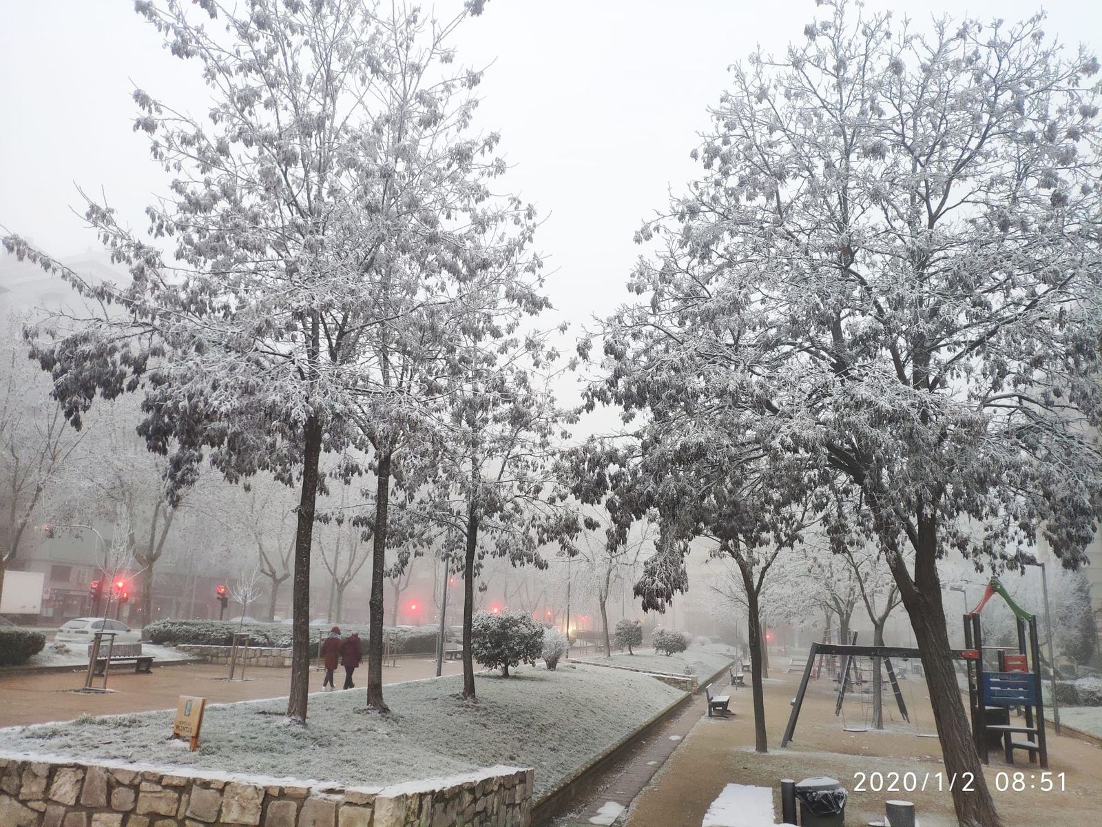 Cencellada zamora 2enero 2020