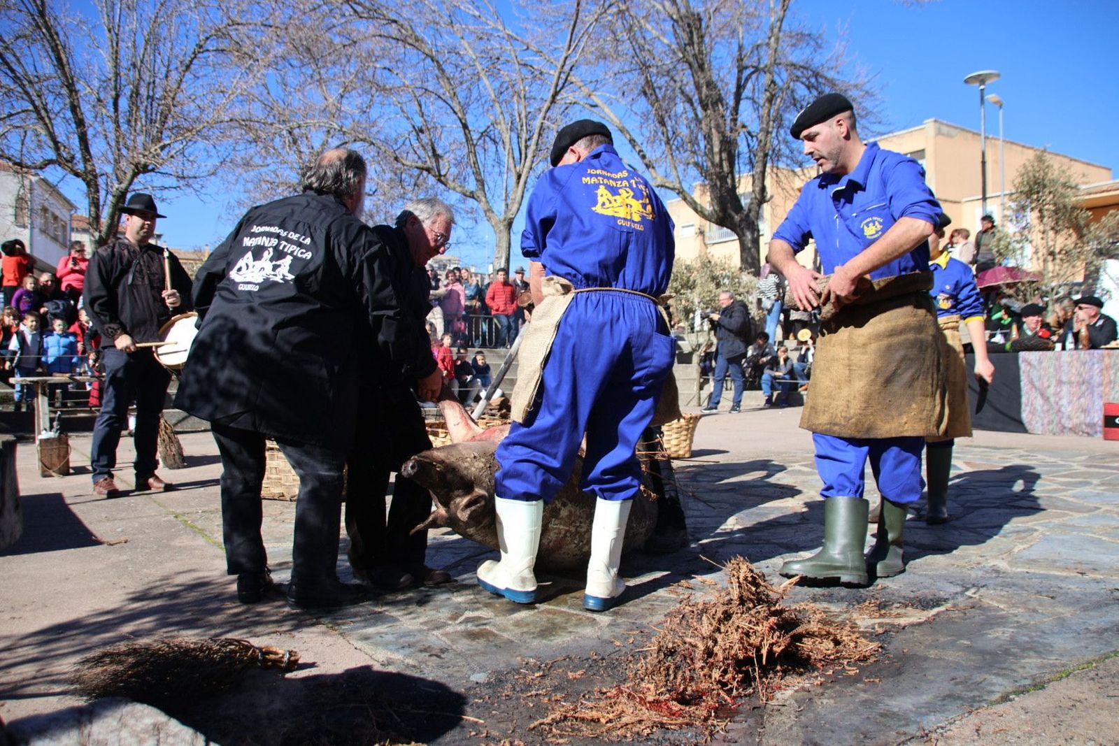 20240203132210-img-4476