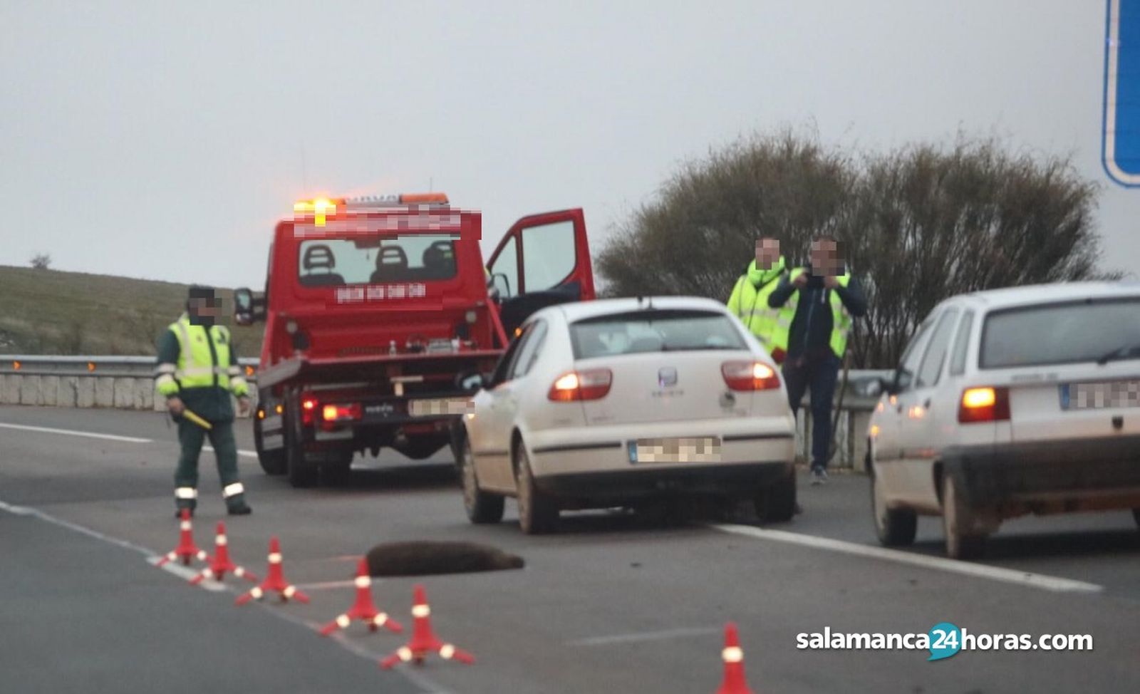Accidente de tráfico con un jabalí implicado. Imagen de archivo Salamanca24horas