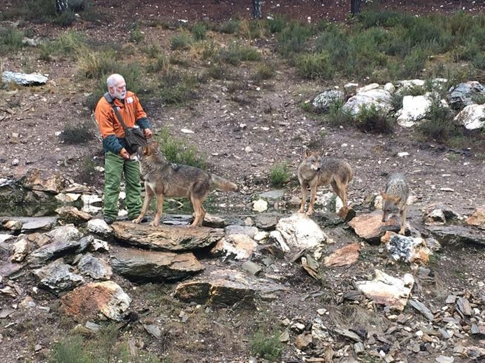 Carlos Sanz Centro del Lobo