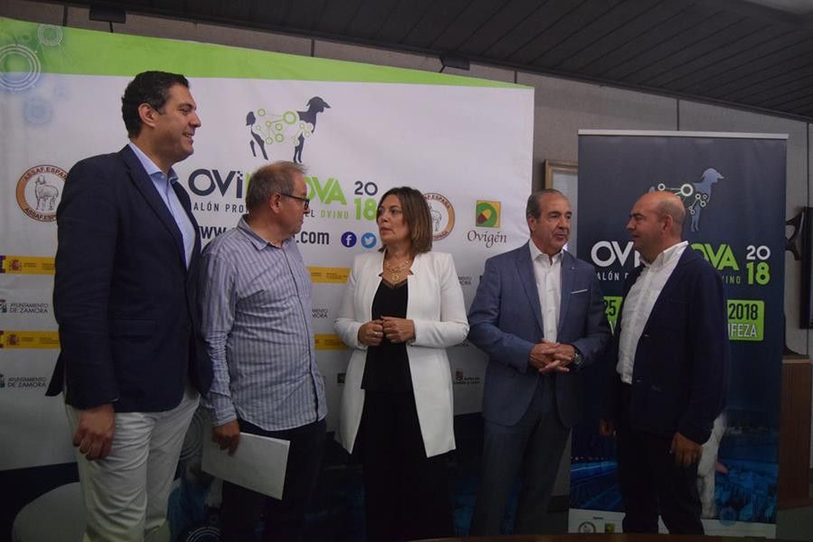 Presentacion ovinova