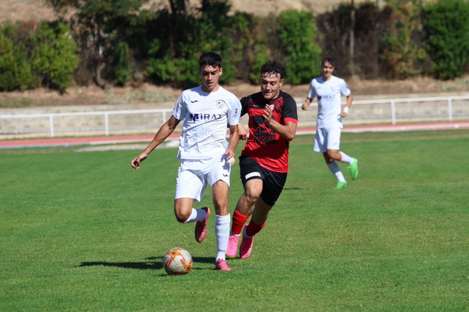 20231001111402-img-0856