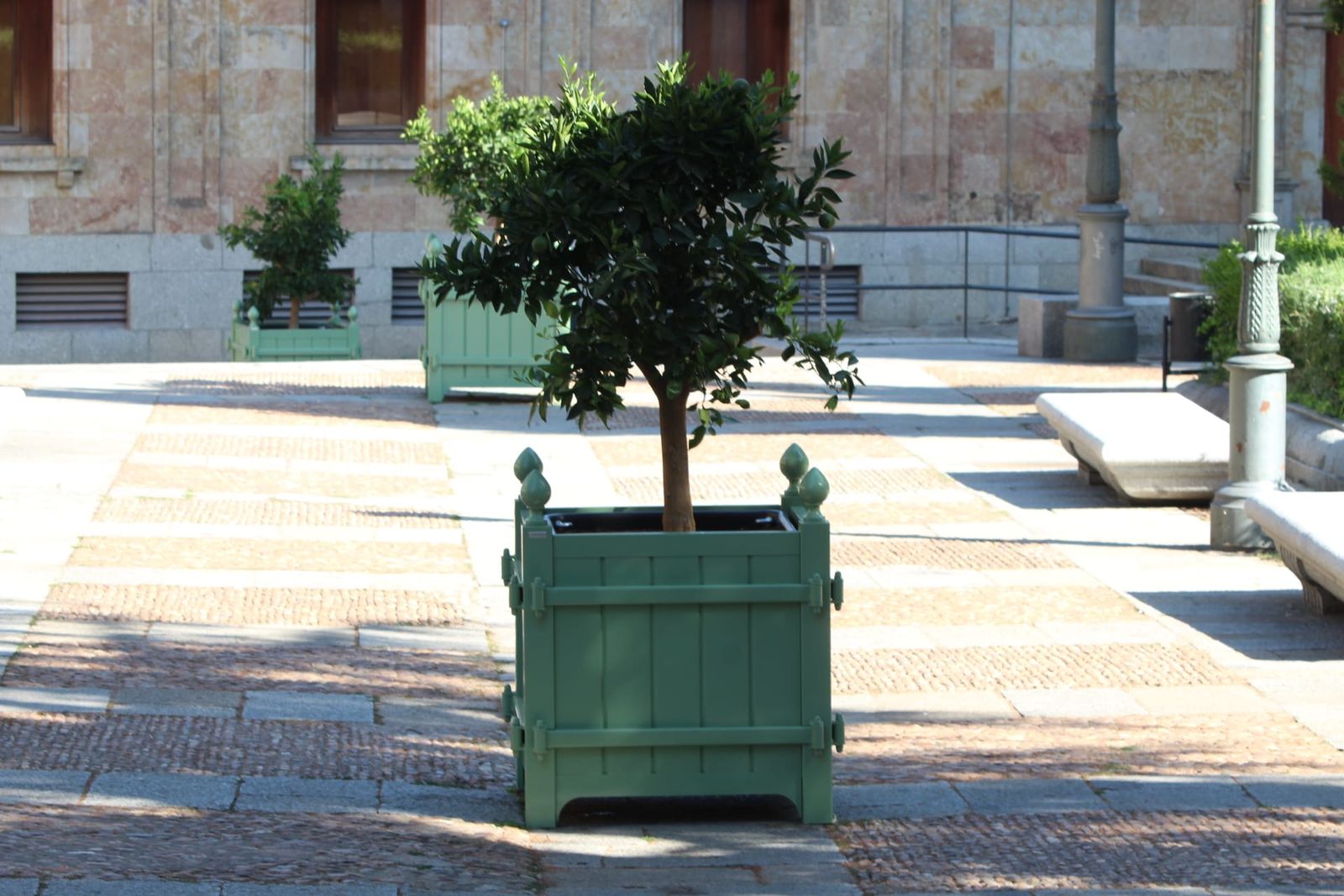 whatsapp-image-2024-08-27-at-17-49-08-5