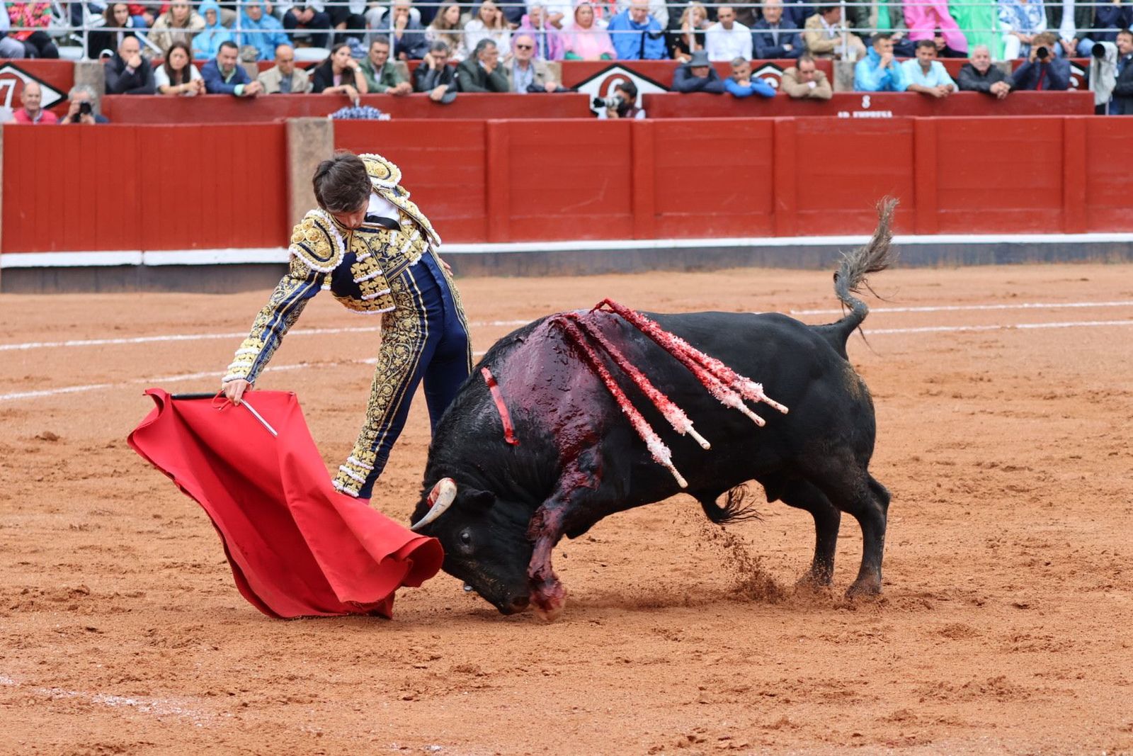 20230916172127-img-5249