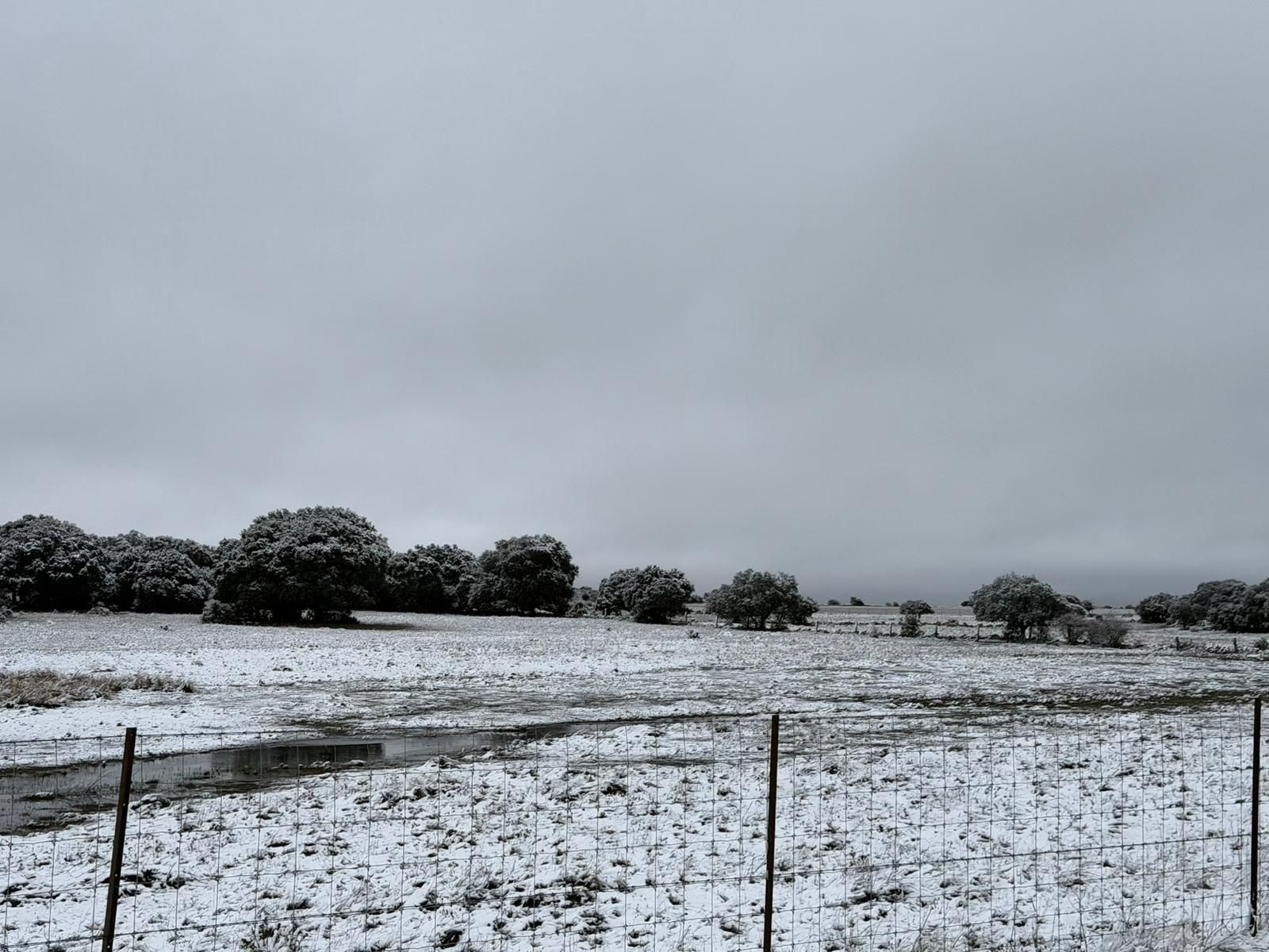 Nieve en Cuatro Calzadas, Pereña y Guijuelo este sábado