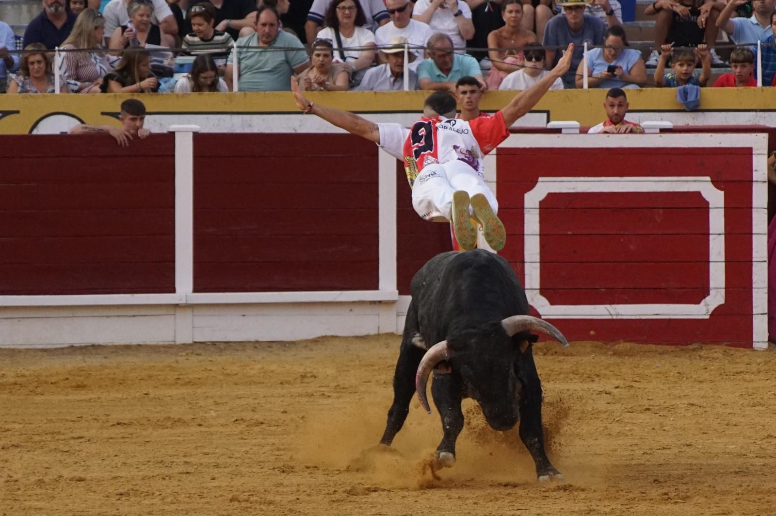 Gran ambiente en los cortes y la suelta de vaquillas de Peñaranda