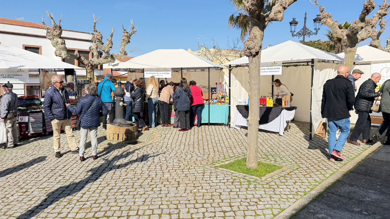 Día del Almendro en La fregeneda