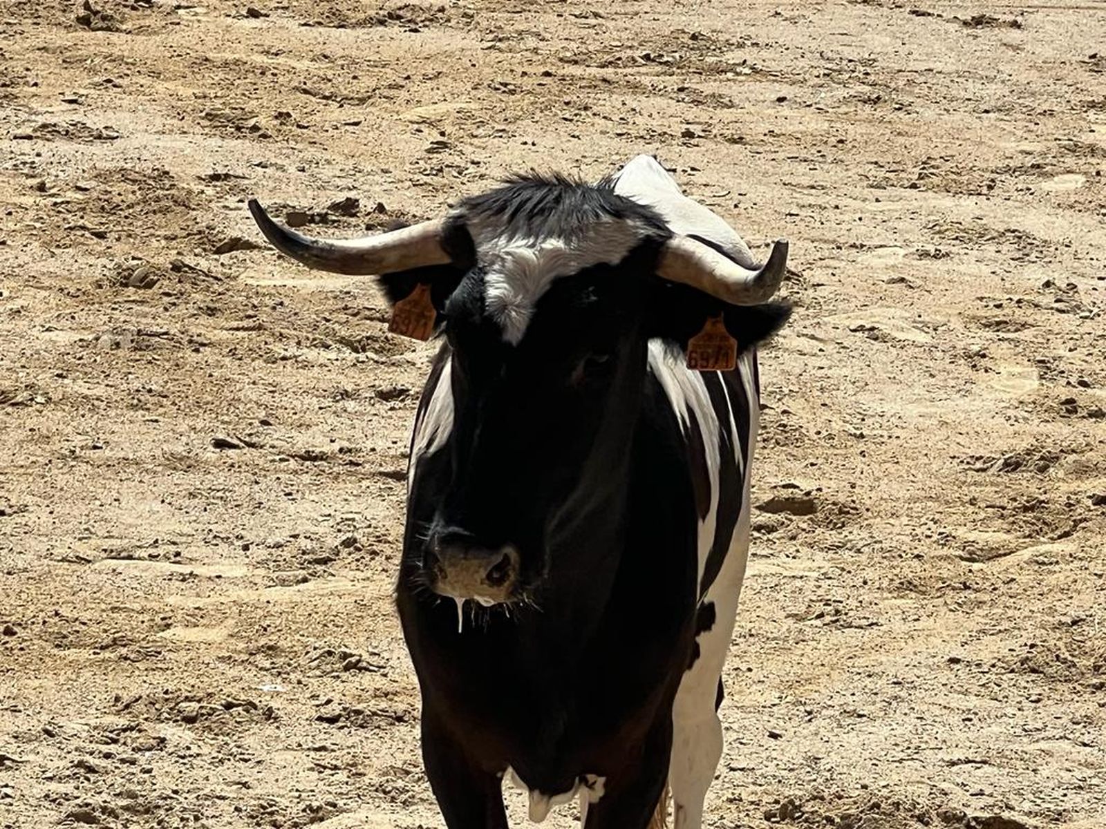 whatsapp-image-2022-08-21-at-1-05-19-pm-1