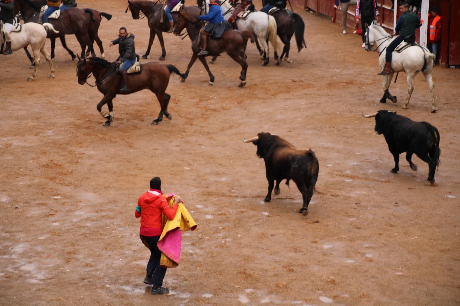 whatsapp-image-2024-02-11-at-11-41-49-7