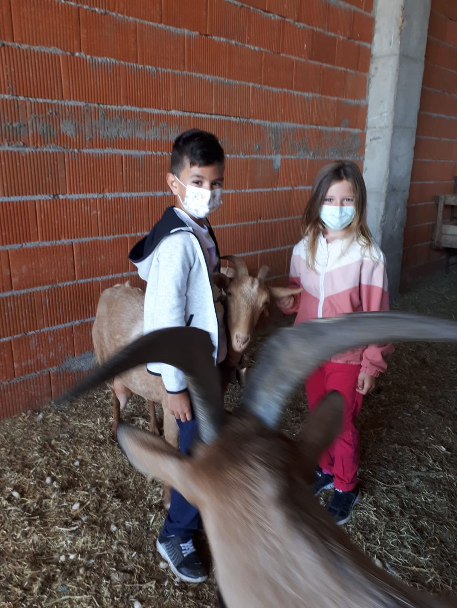 semana-cultural-en-casaseca-de-las-chanas-14