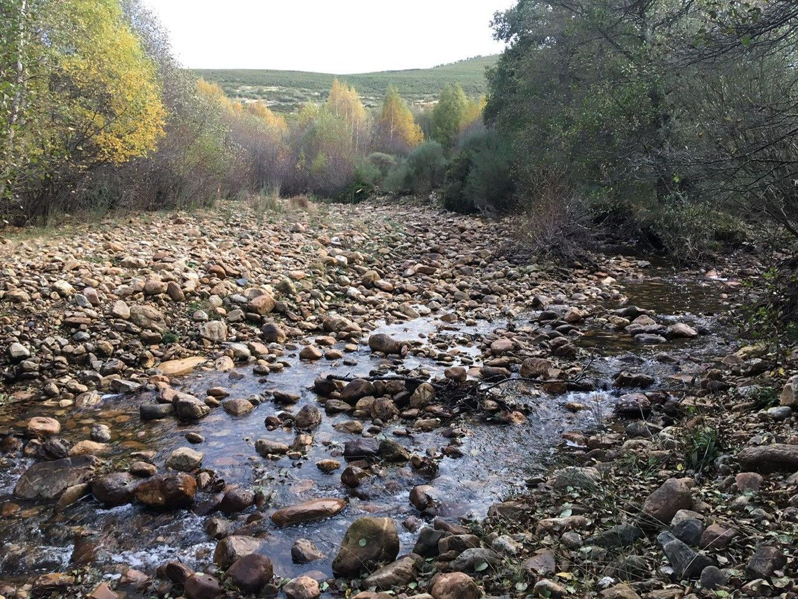 Desecacion rio Truchillas