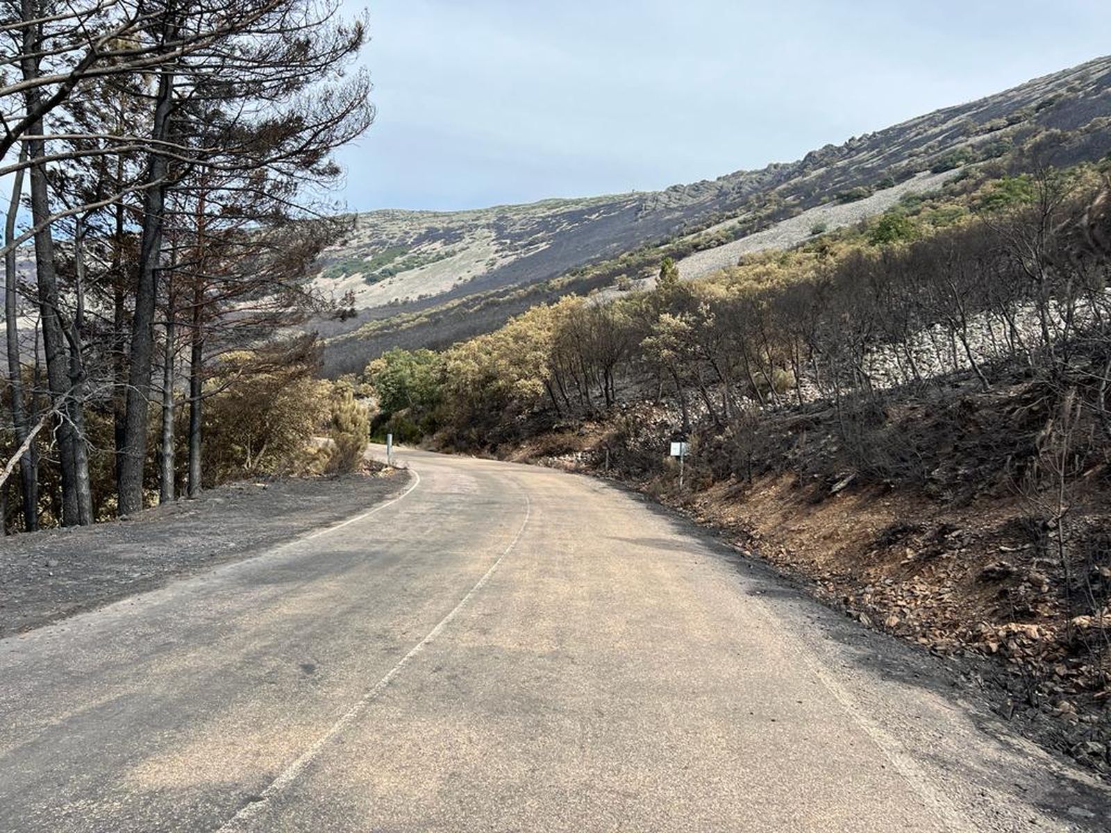 Paso de los lobos hacia Monsagro (22)