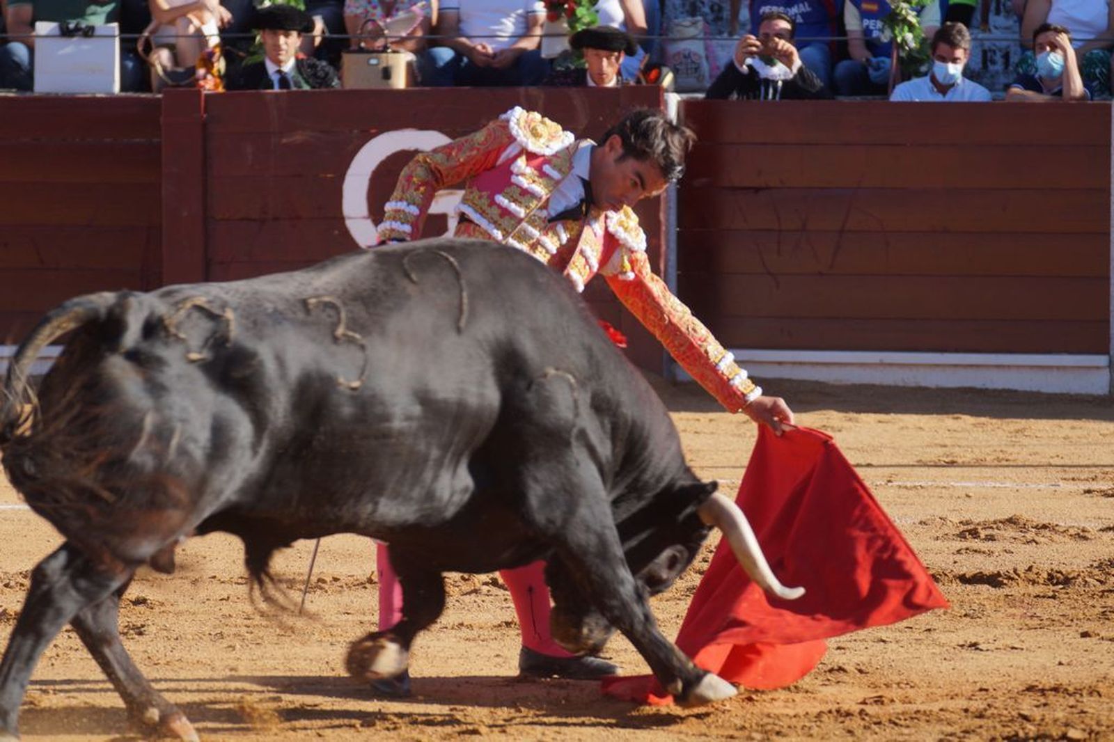 guijuelo-toros-el-puerto-de-san-lorenzo-11