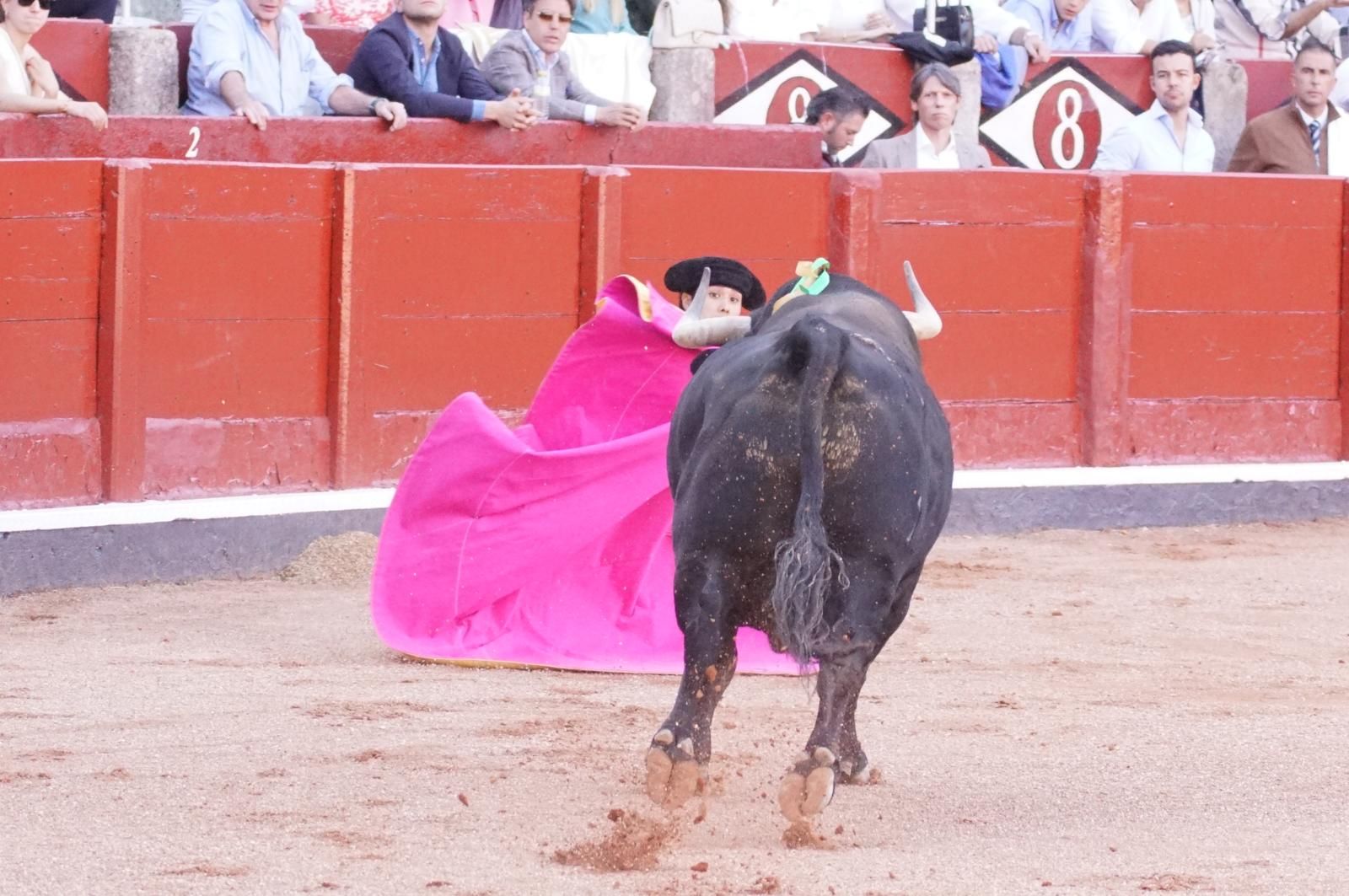 Presencia salmantina por partida doble en la primera corrida de la feria: Damián Castaño e Ismael Martín junto al mexicano Diego San Román