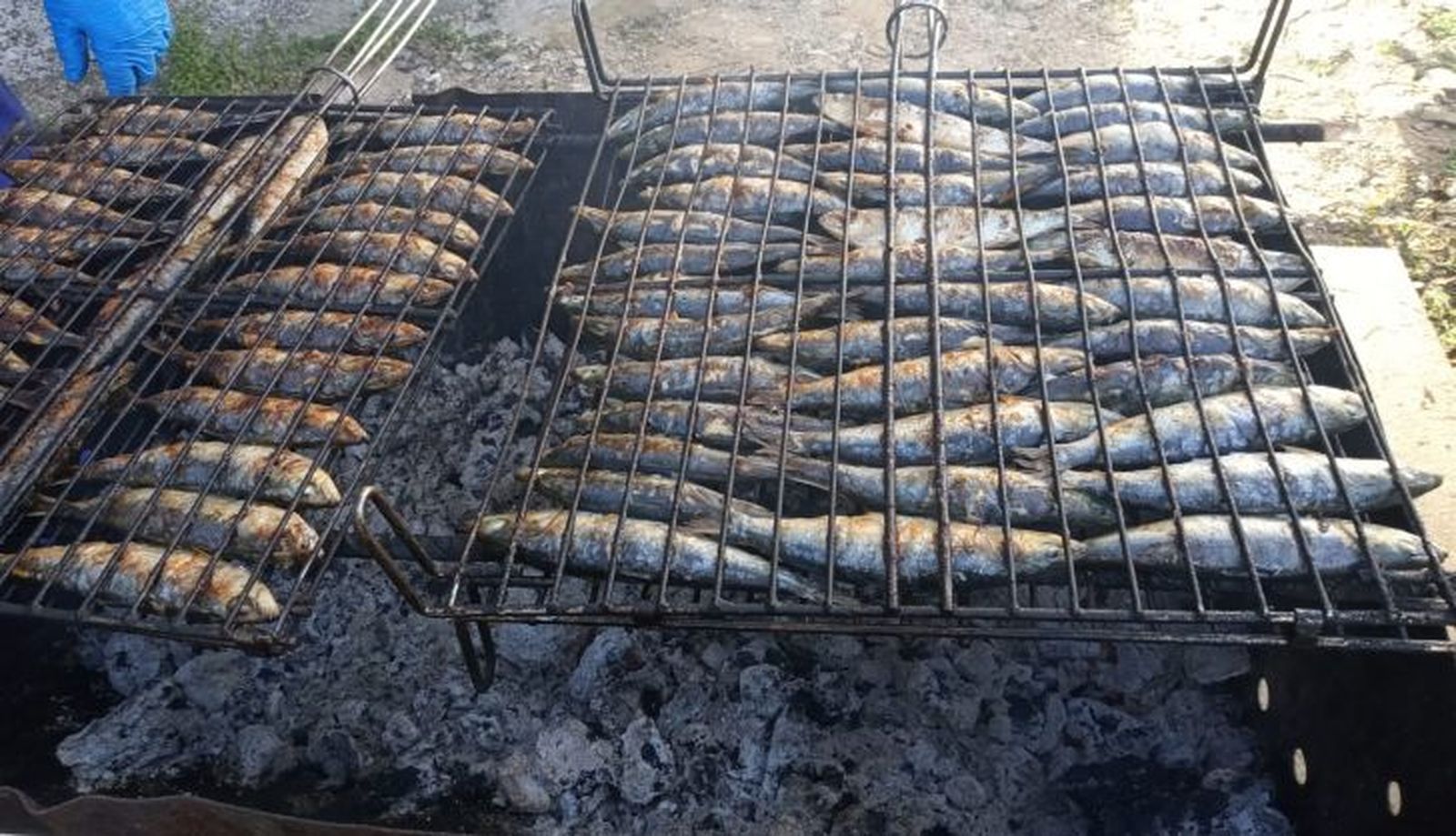 Sardinas asadas en Ledesma 
