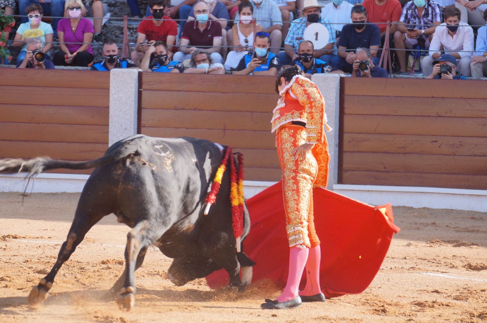 toros-en-guijuelo-15-de-agosto-15