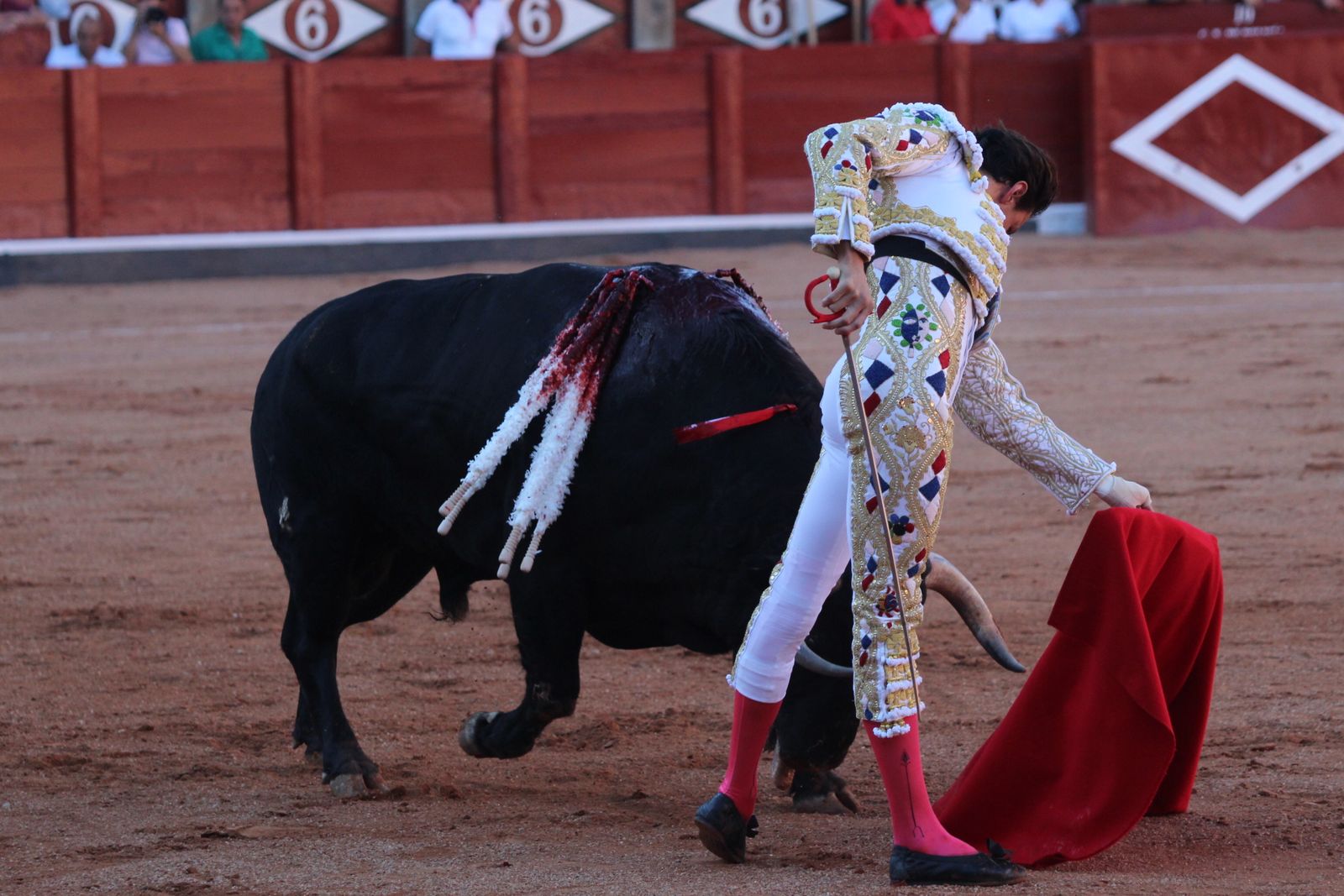 Emilio de Justo, Juan Ortega y Roca Rey inauguran el cartel de figuras en la feria de Salamanca: la corrida de Garcigrande en imágenes