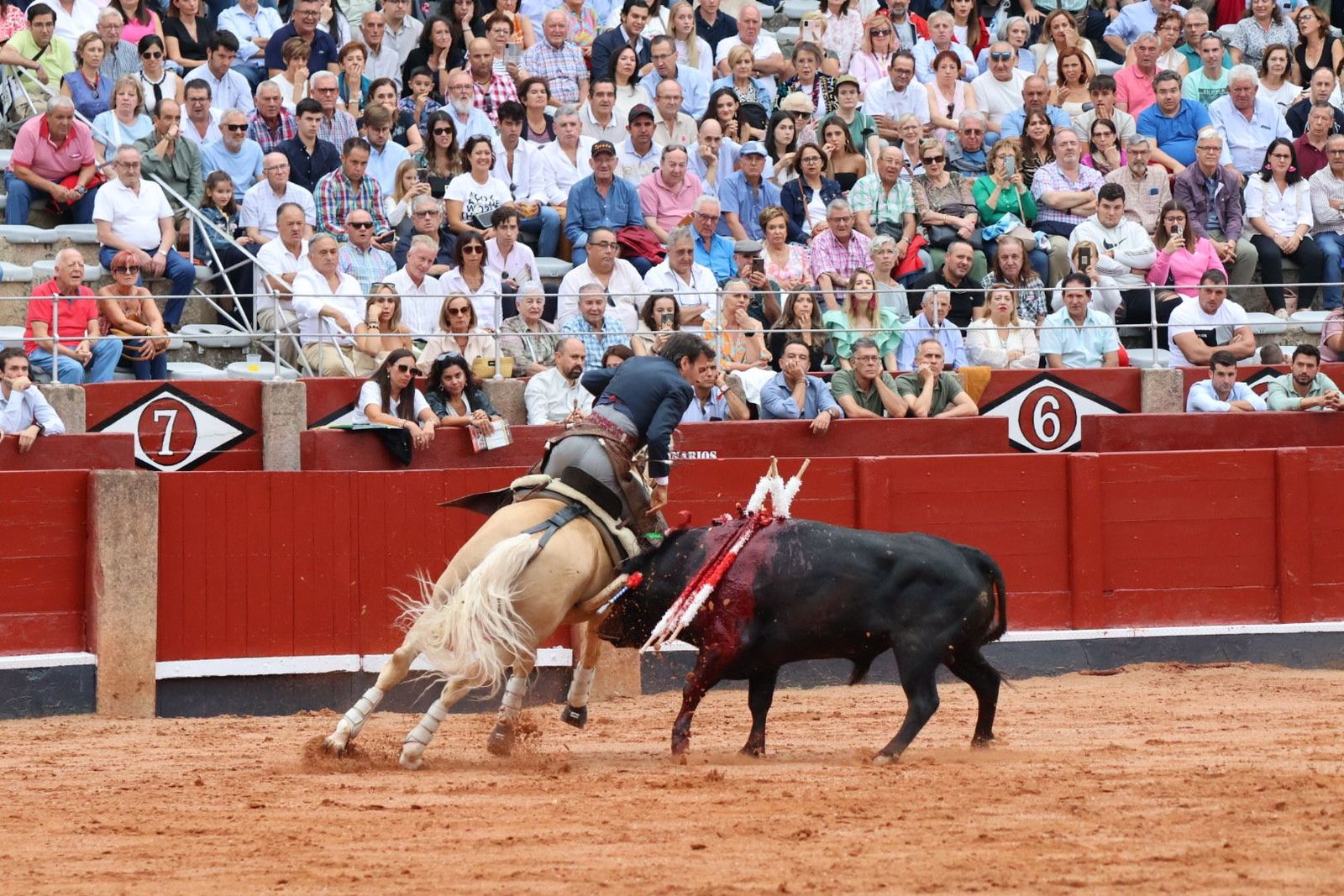 20230909174827-img-0567