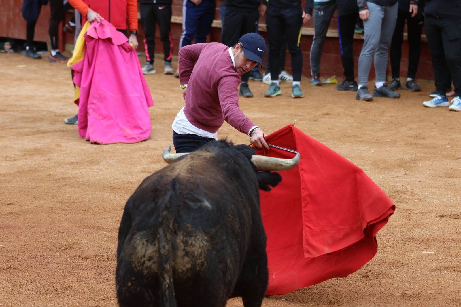 Mañana de capea de lunes en el Carnaval del Toro 2026