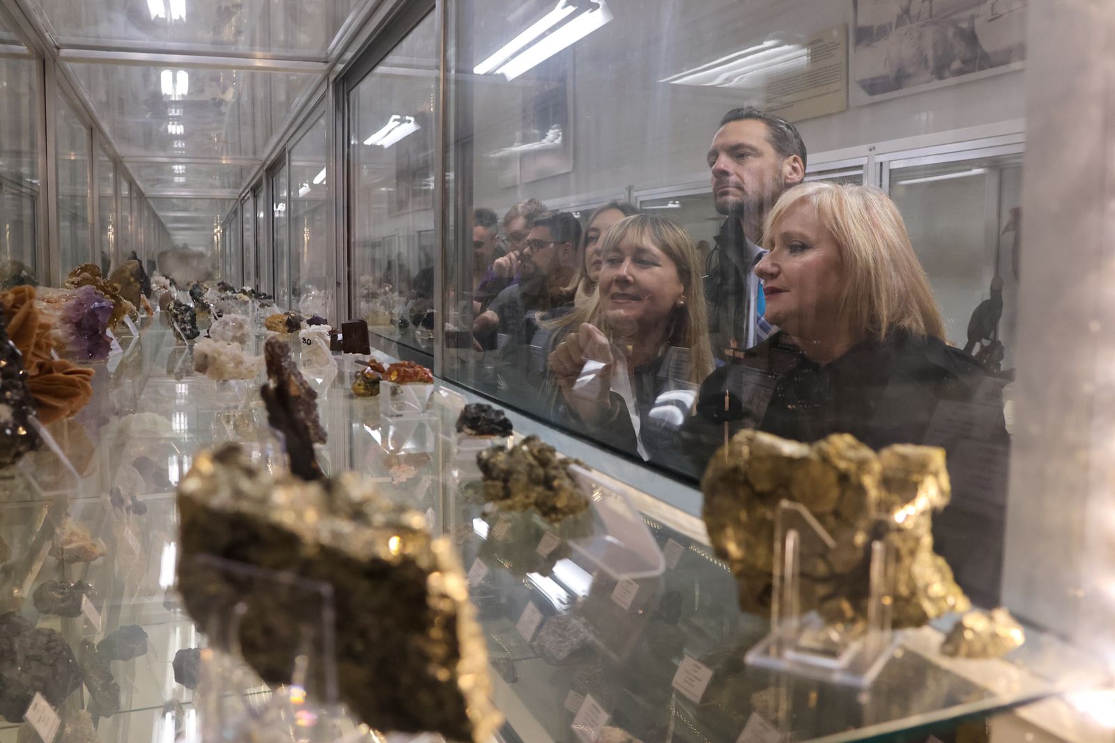 Visita Museo de Ciencias Naturales