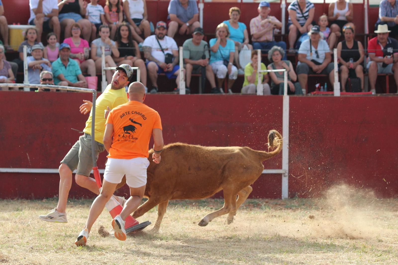 img-2201