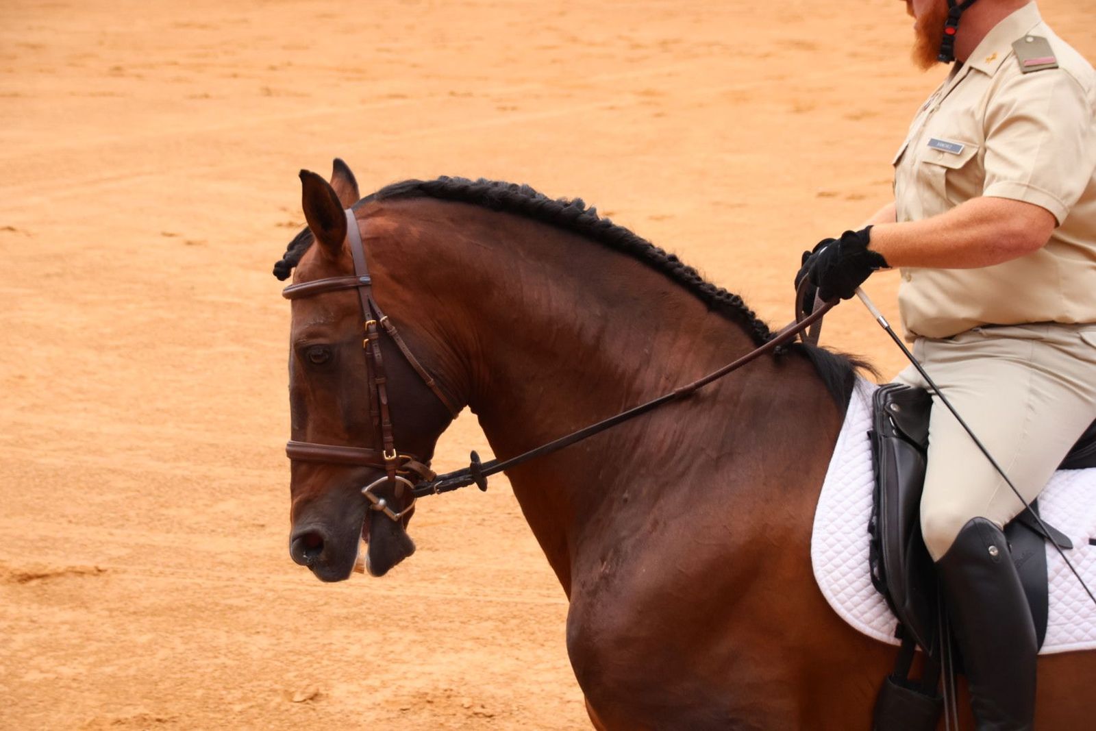 20230902110958-img-7037