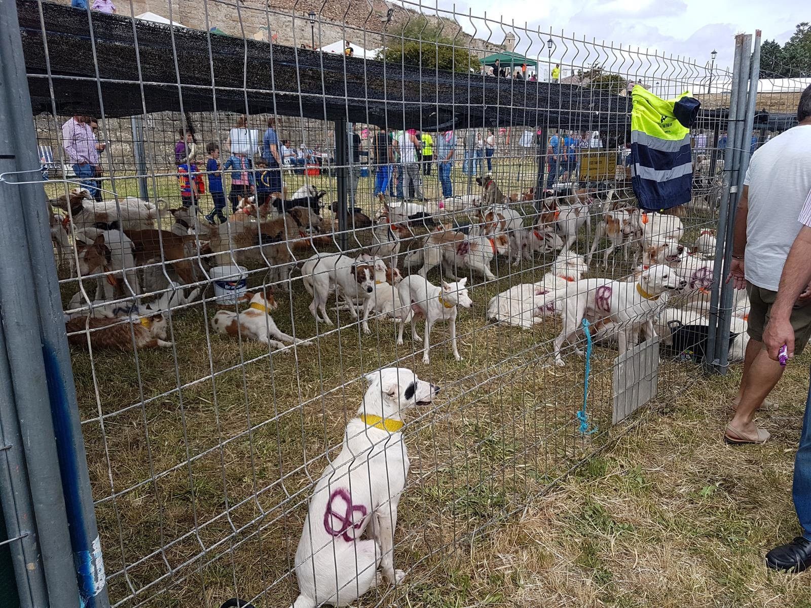 Feria de la Caza en Ciudad Rodrigo