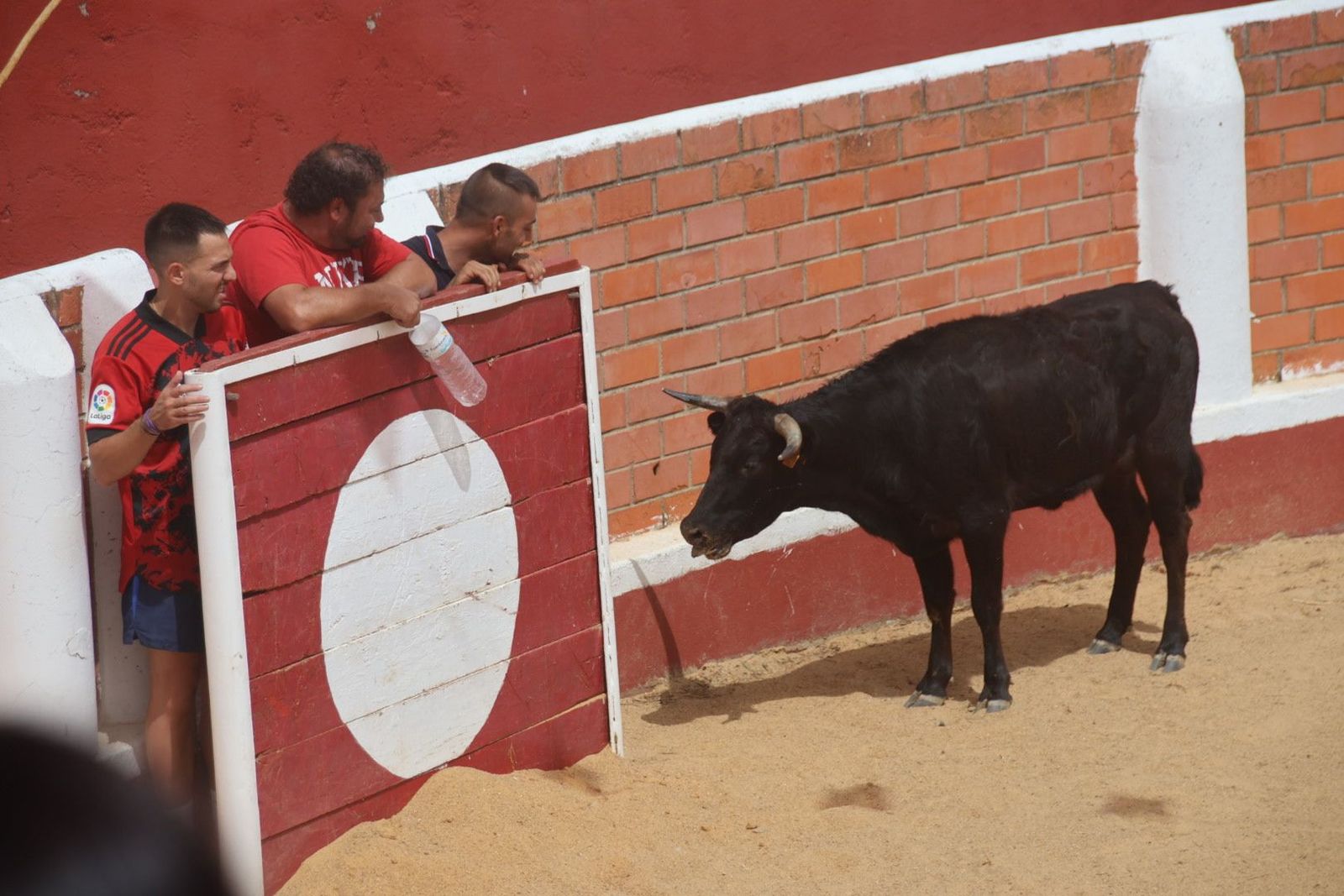 20230809121349-img-9644