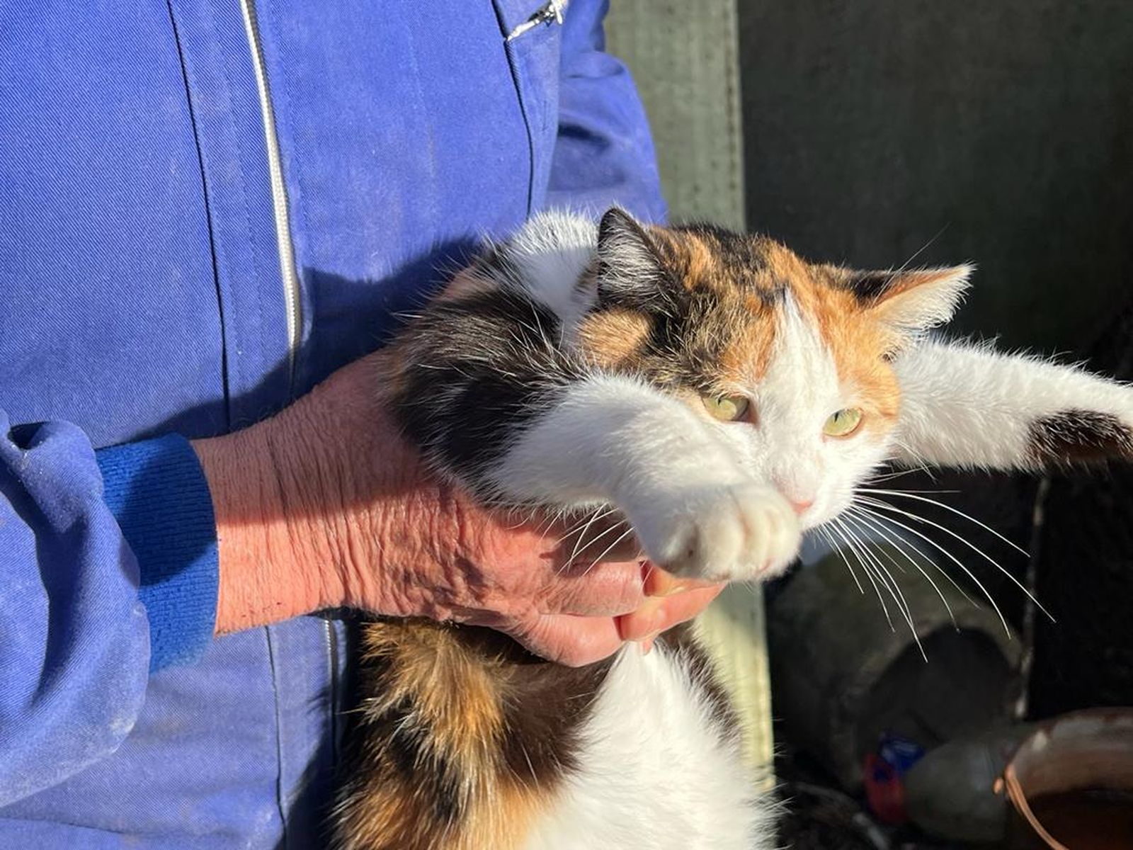Una persona mayor con un gato. Foto S24H