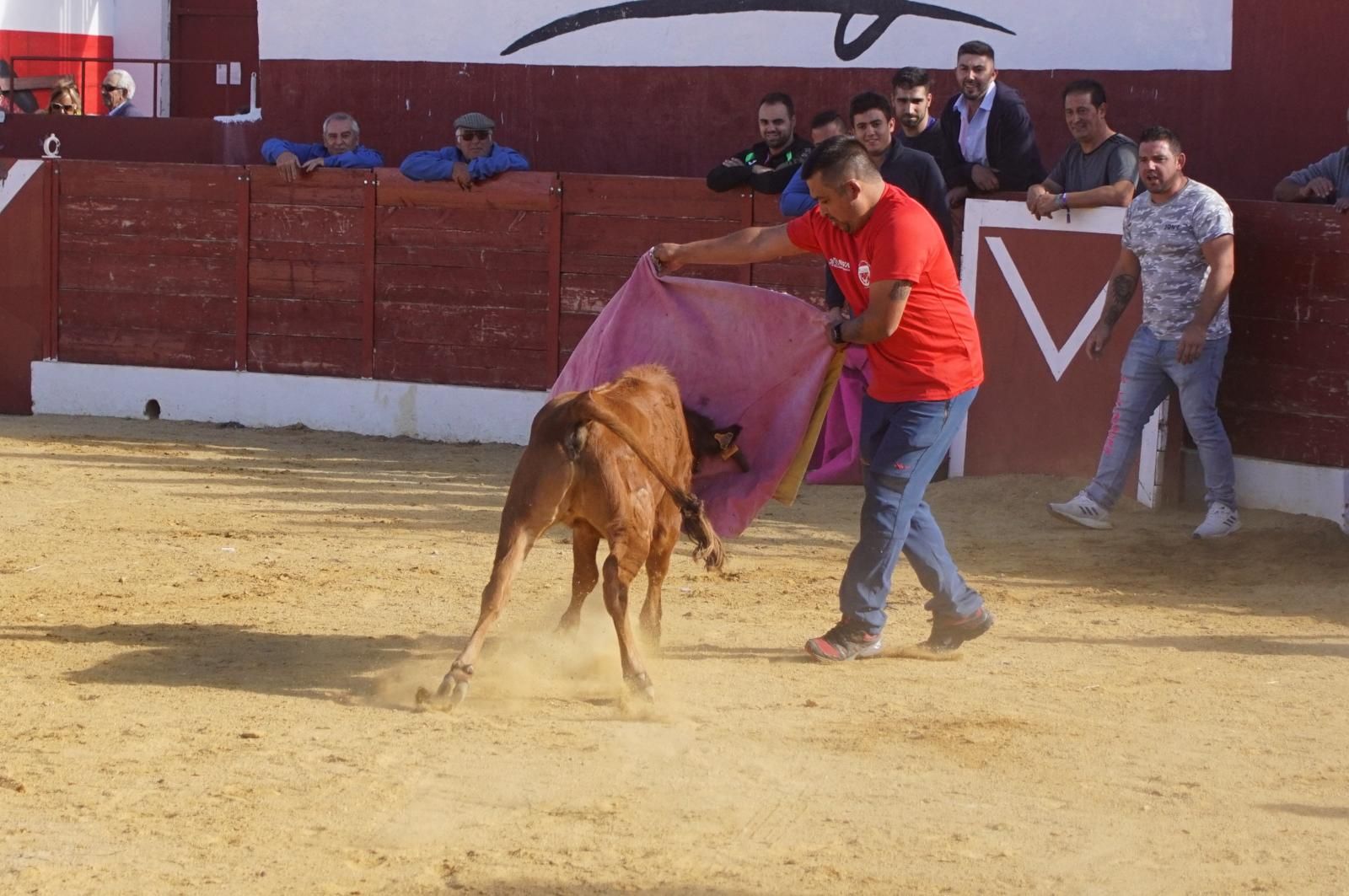 whatsapp-image-2024-09-08-at-14-05-31-3