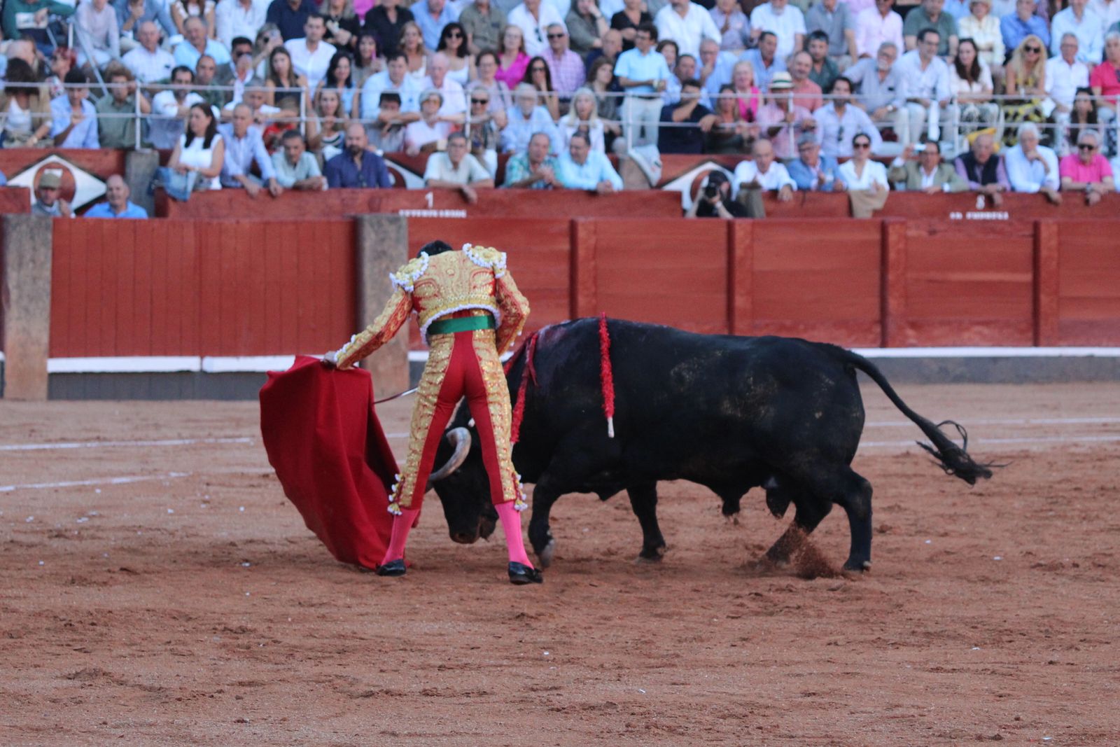 Emilio de Justo, Juan Ortega y Roca Rey inauguran el cartel de figuras en la feria de Salamanca: la corrida de Garcigrande en imágenes