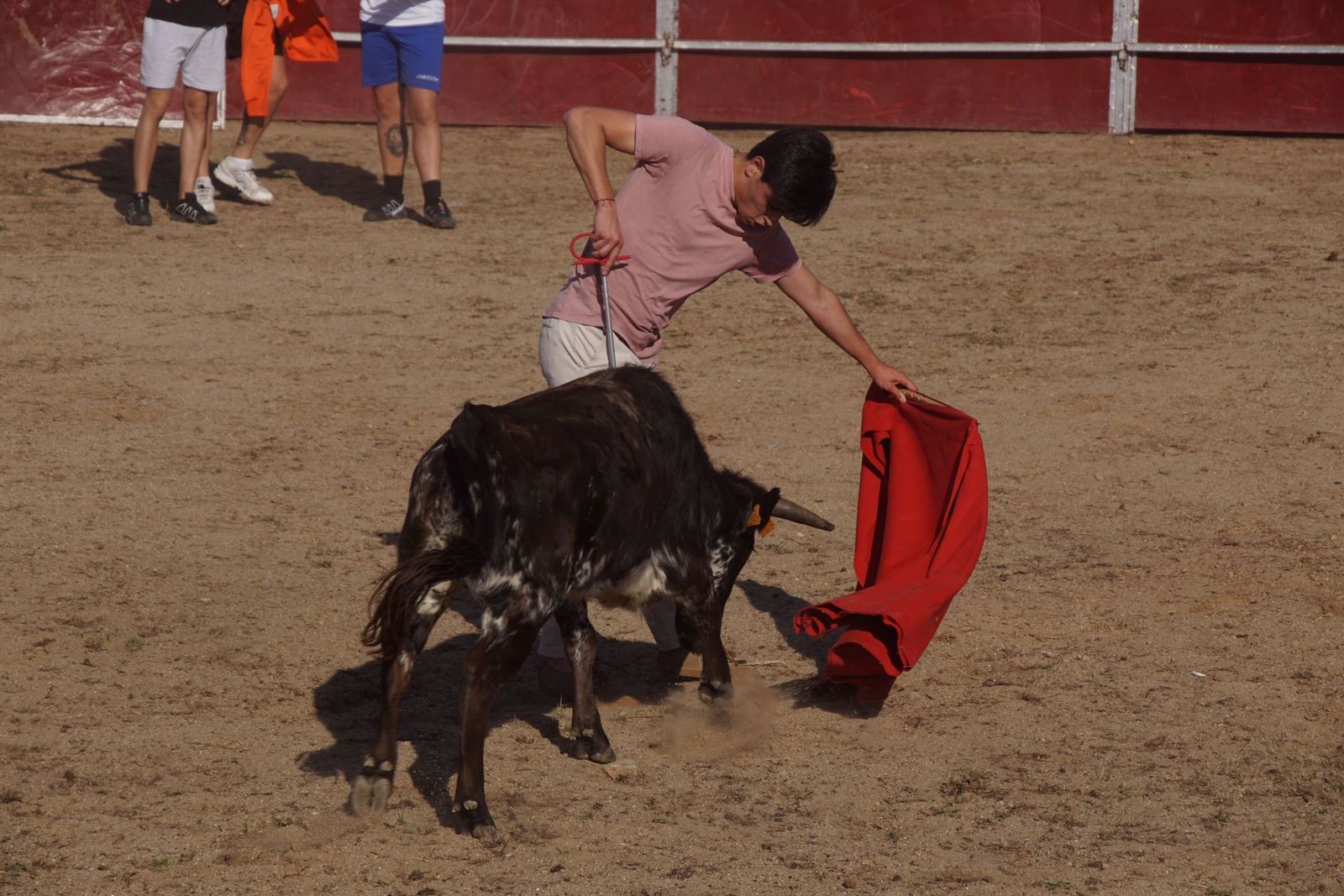 capea-fiestas-de-carrascal-de-barregas-10