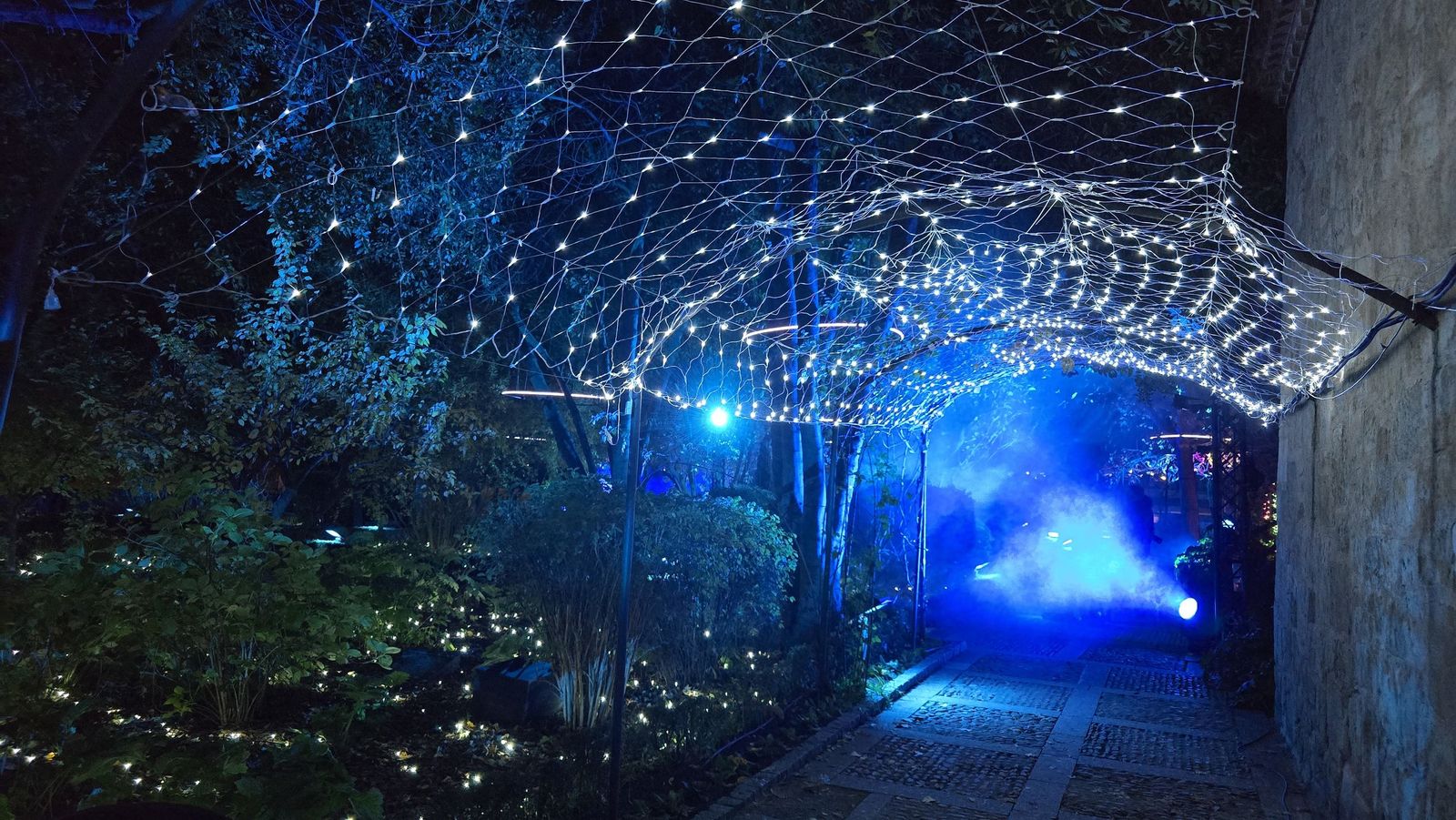 Pase para gráficos del ‘Jardín mágico del Huerto de Calixto y Melibea’