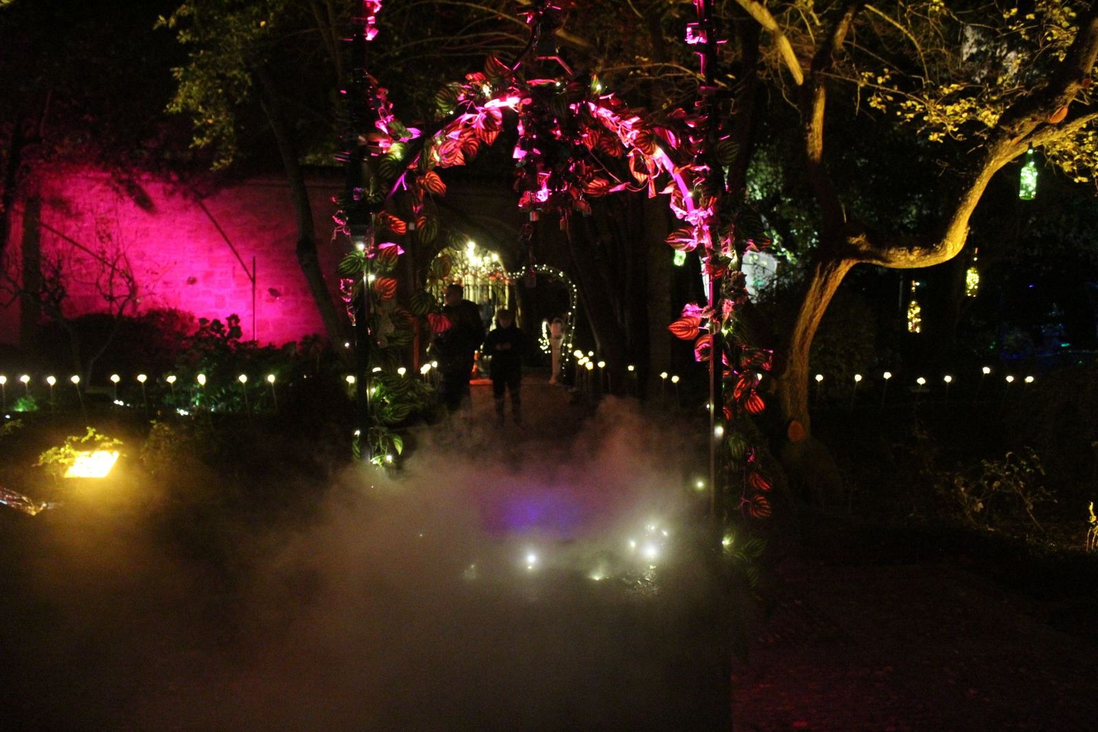 20231204212823-img-6416