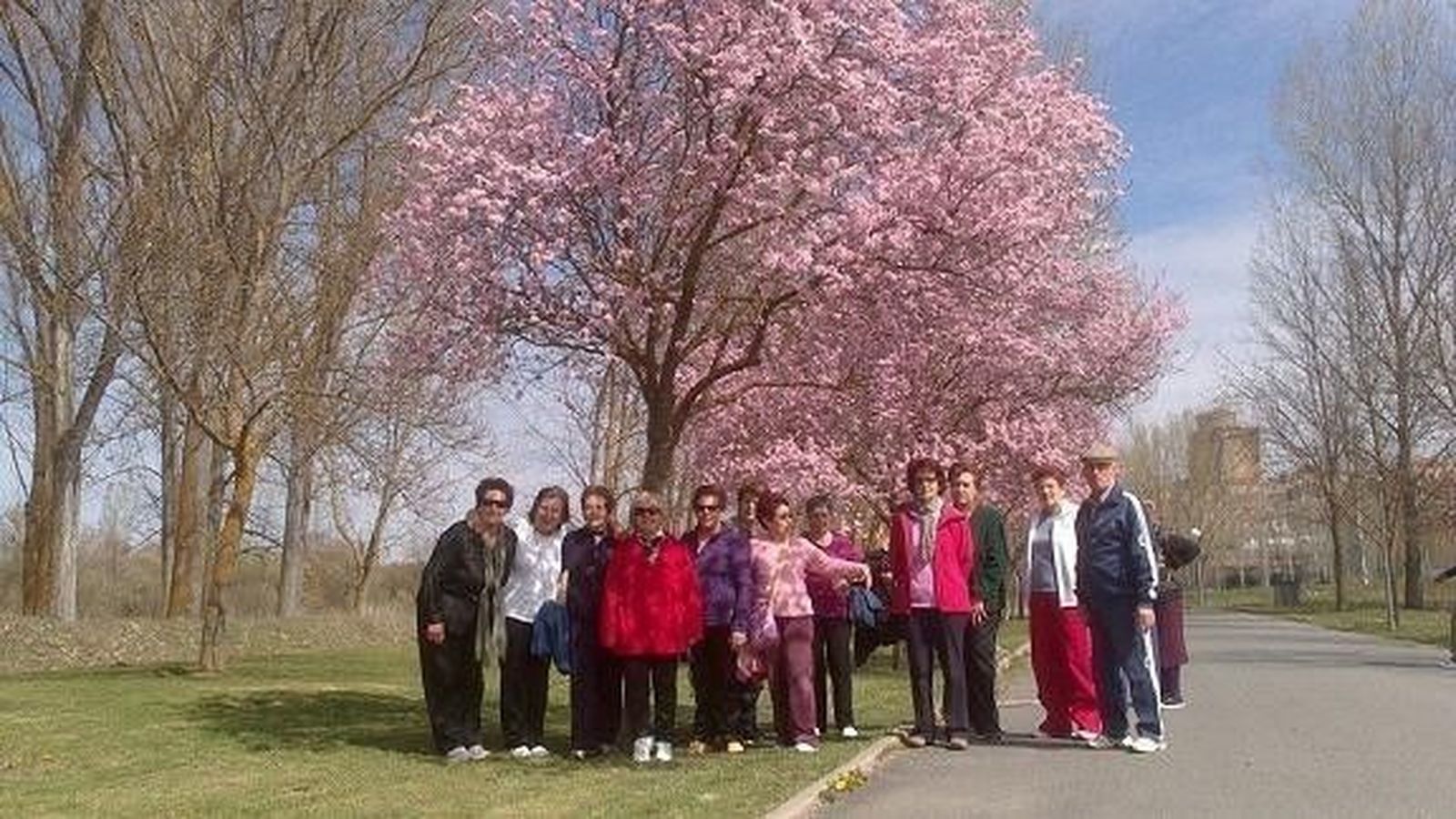Intensa actividad de los participantes en la iniciativa 'Andando que es salud'