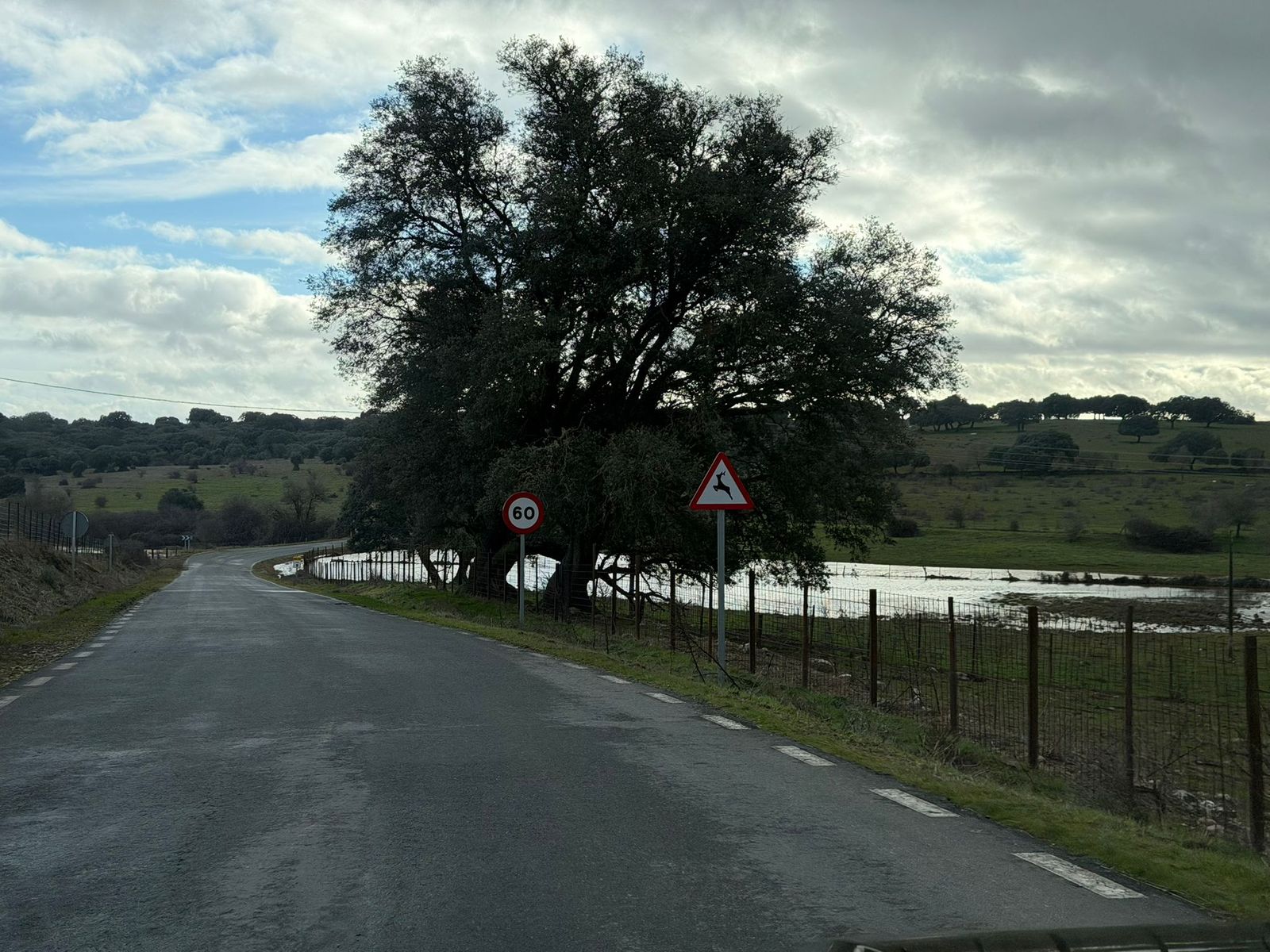 El campo anegado de agua en la zona del Campo Charro
