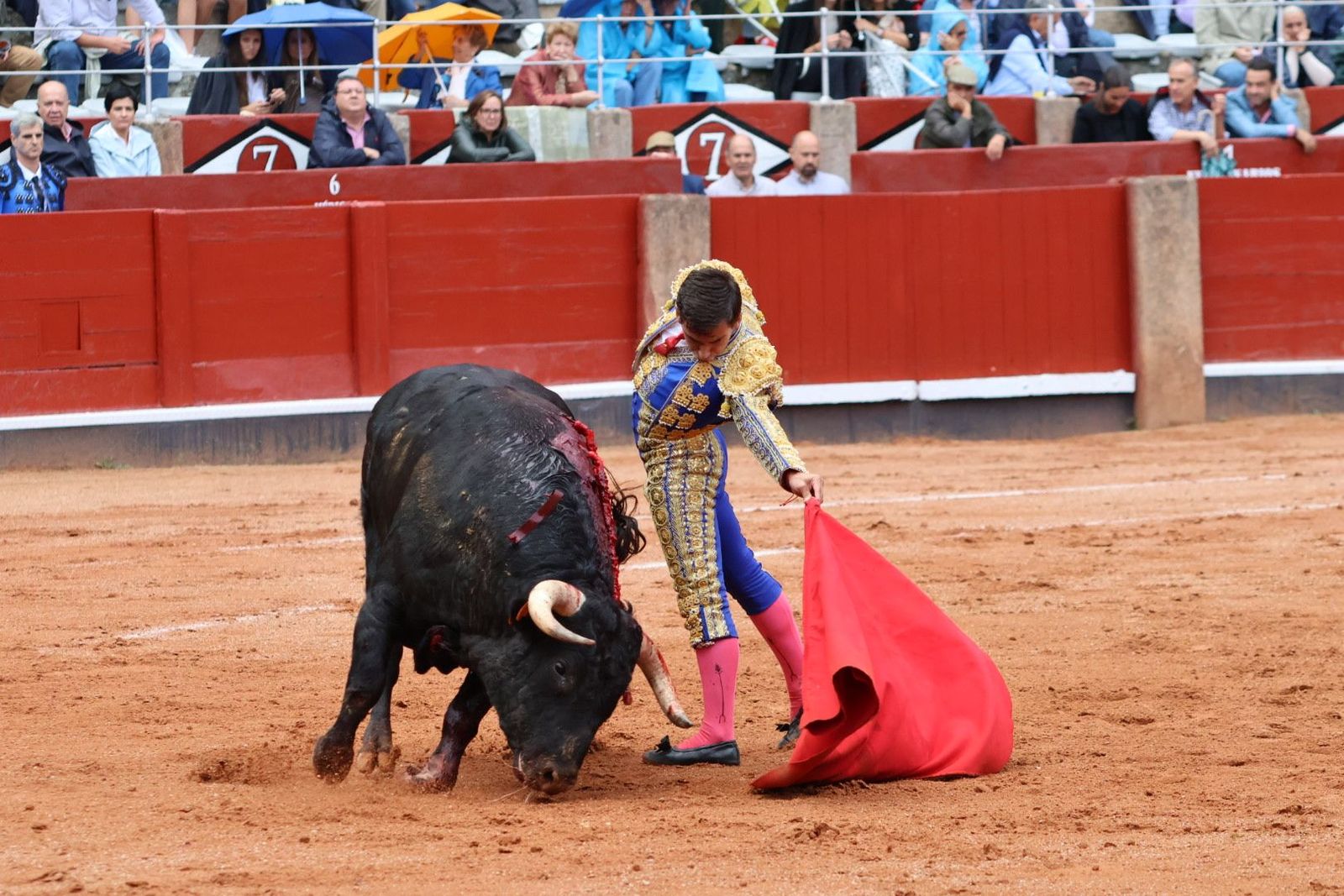 20230915174718-img-3991