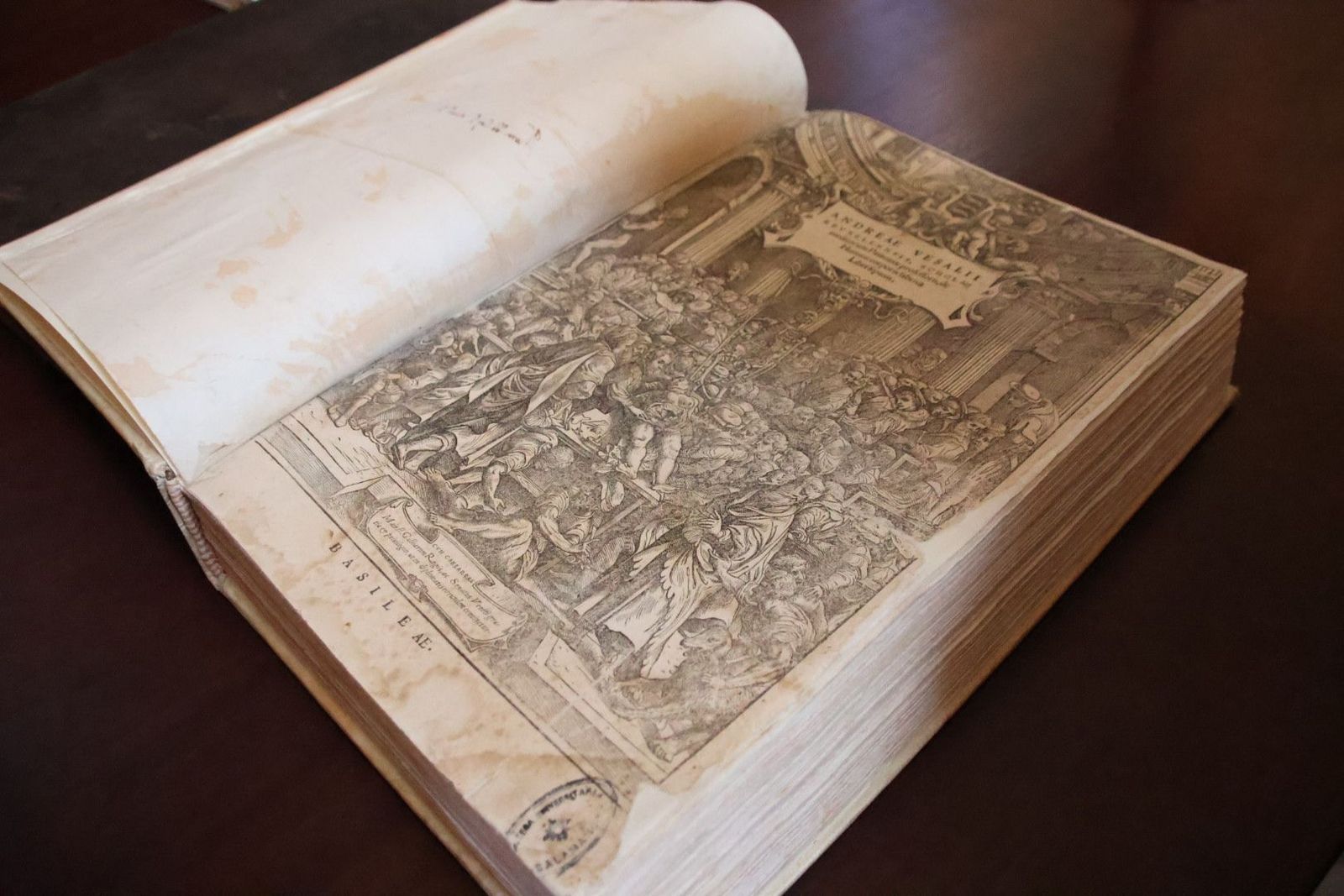 20231005113511-img-1354